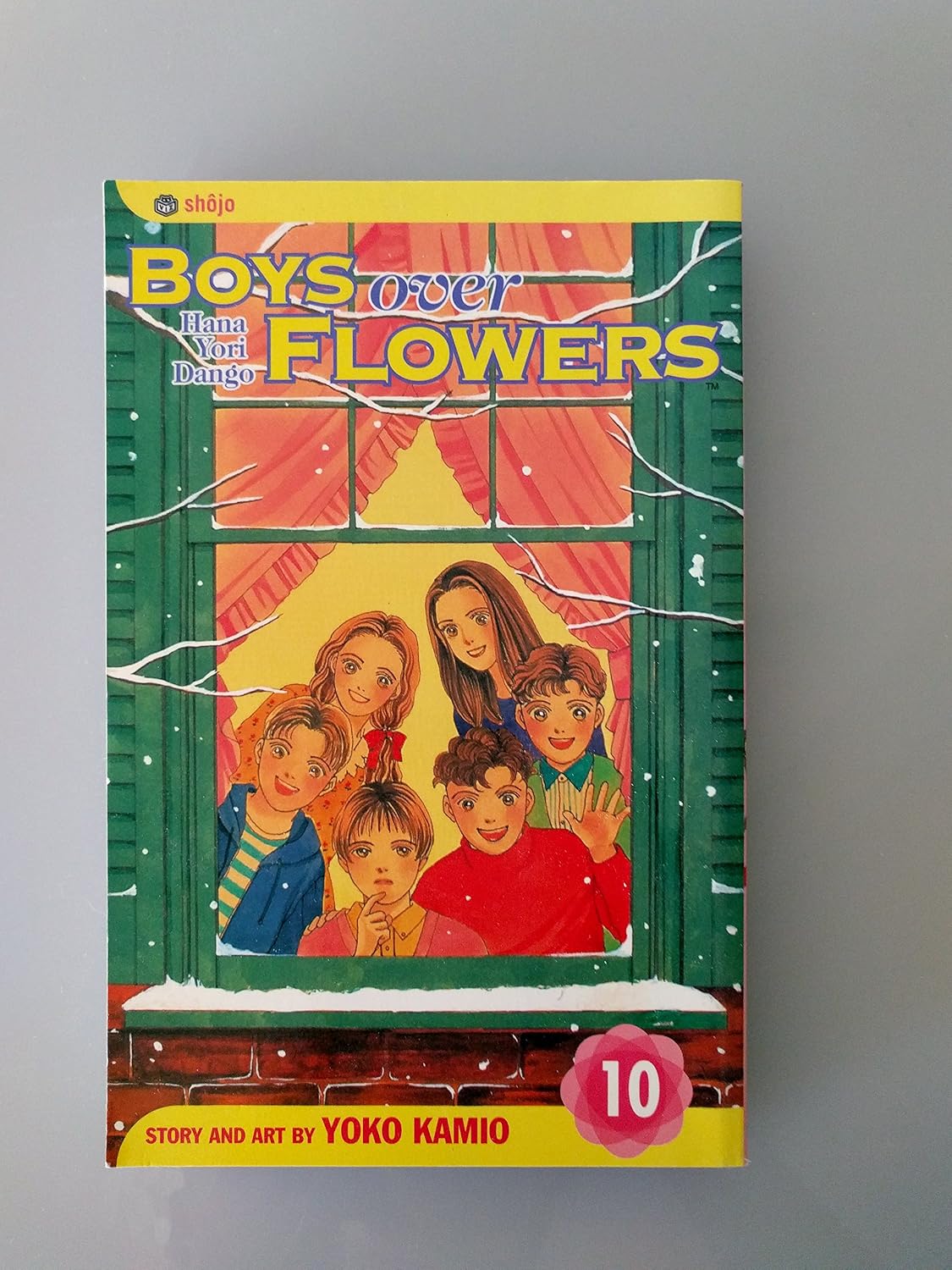 Boys Over Flowers, Vol. 10: Hana Yori Dango      Paperback – February 7, 2005