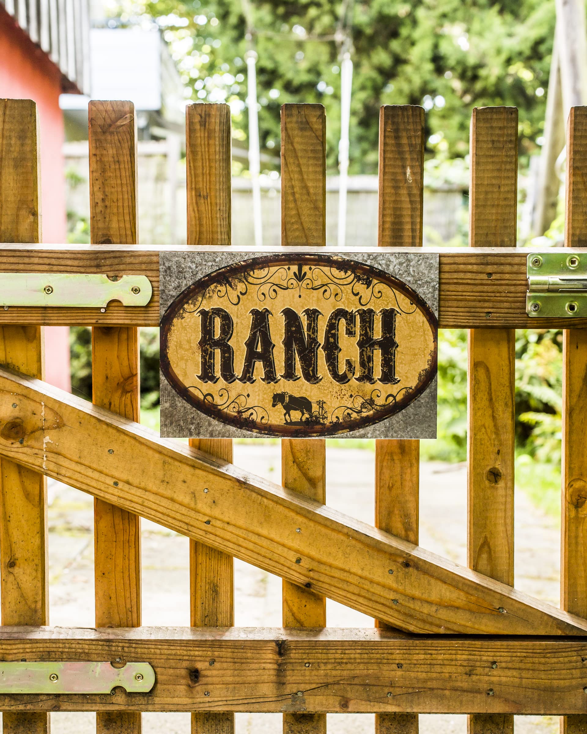 Casque De Cricket DSC Guard Pour Hommes - Grille En Acier Ajustable - Couleur Bleu