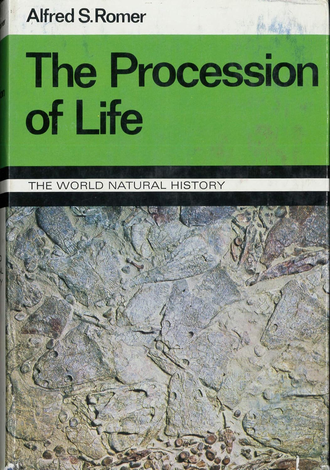 The procession of life: ROMER, Alfred S.: 9780297170372: Amazon.com: Books