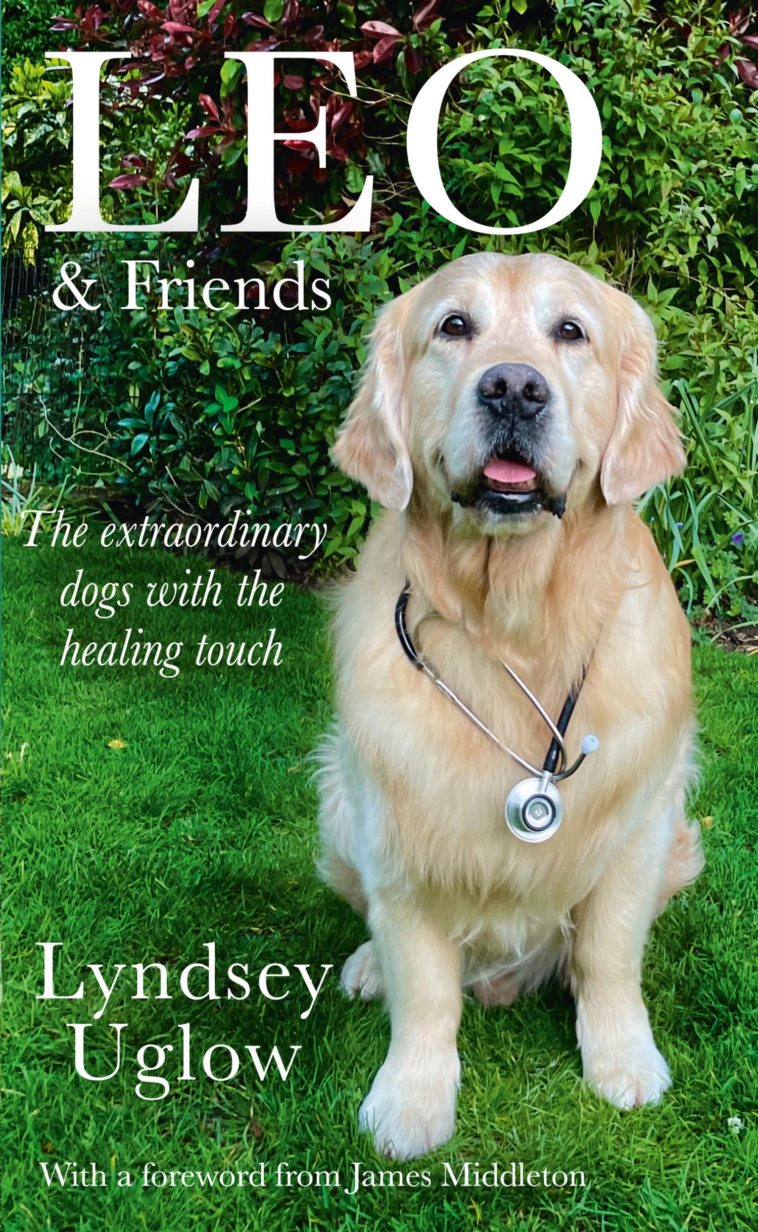 Leo  Friends The Dogs with a Healing Touch by Lyndsey Uglow HARDBACK