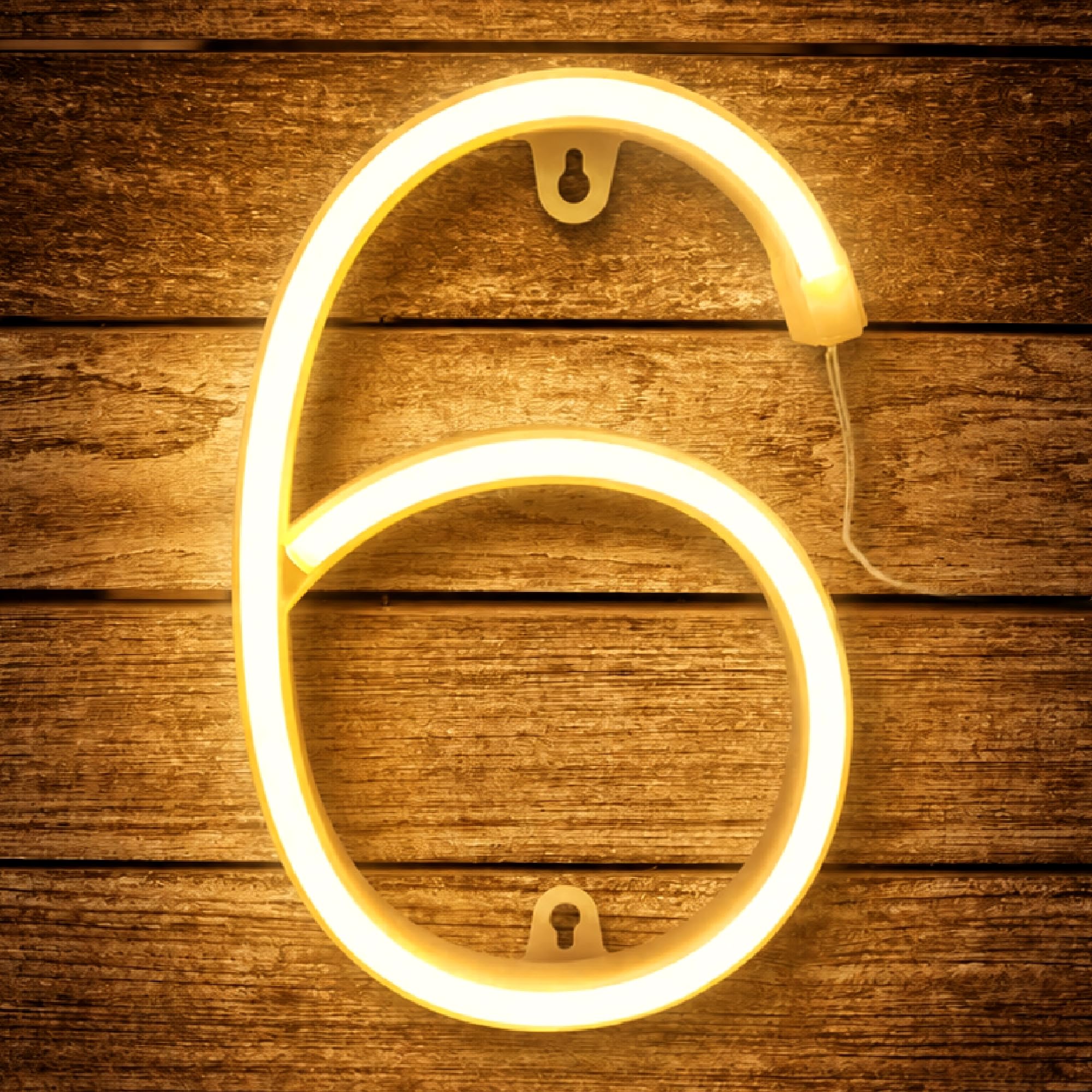 Number Neon Sign, Number 5 Light, 22cm Warm White Number Light Sign for Birthday Party Anniversary Christmas Wedding
