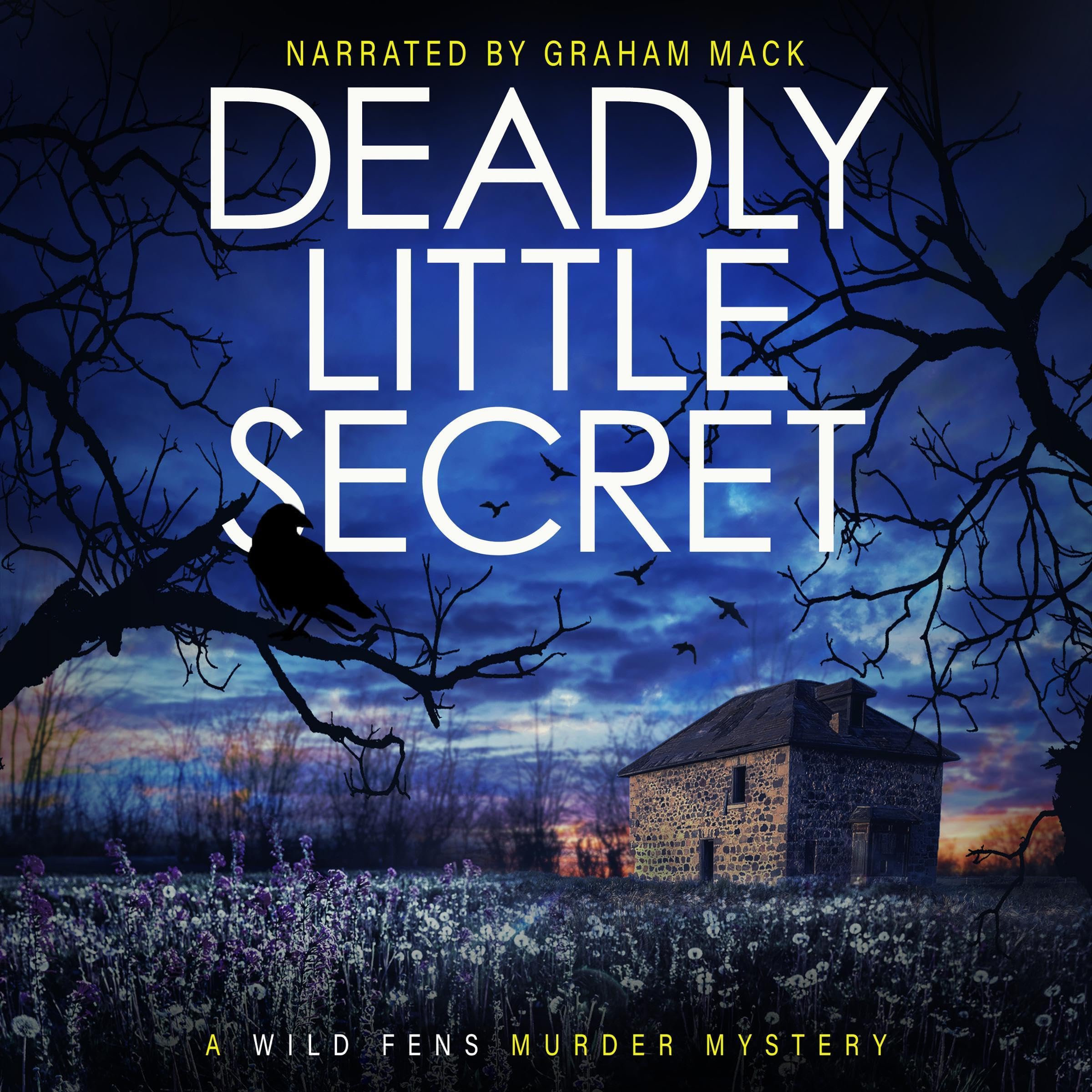 Cover art for Deadly Little Secret