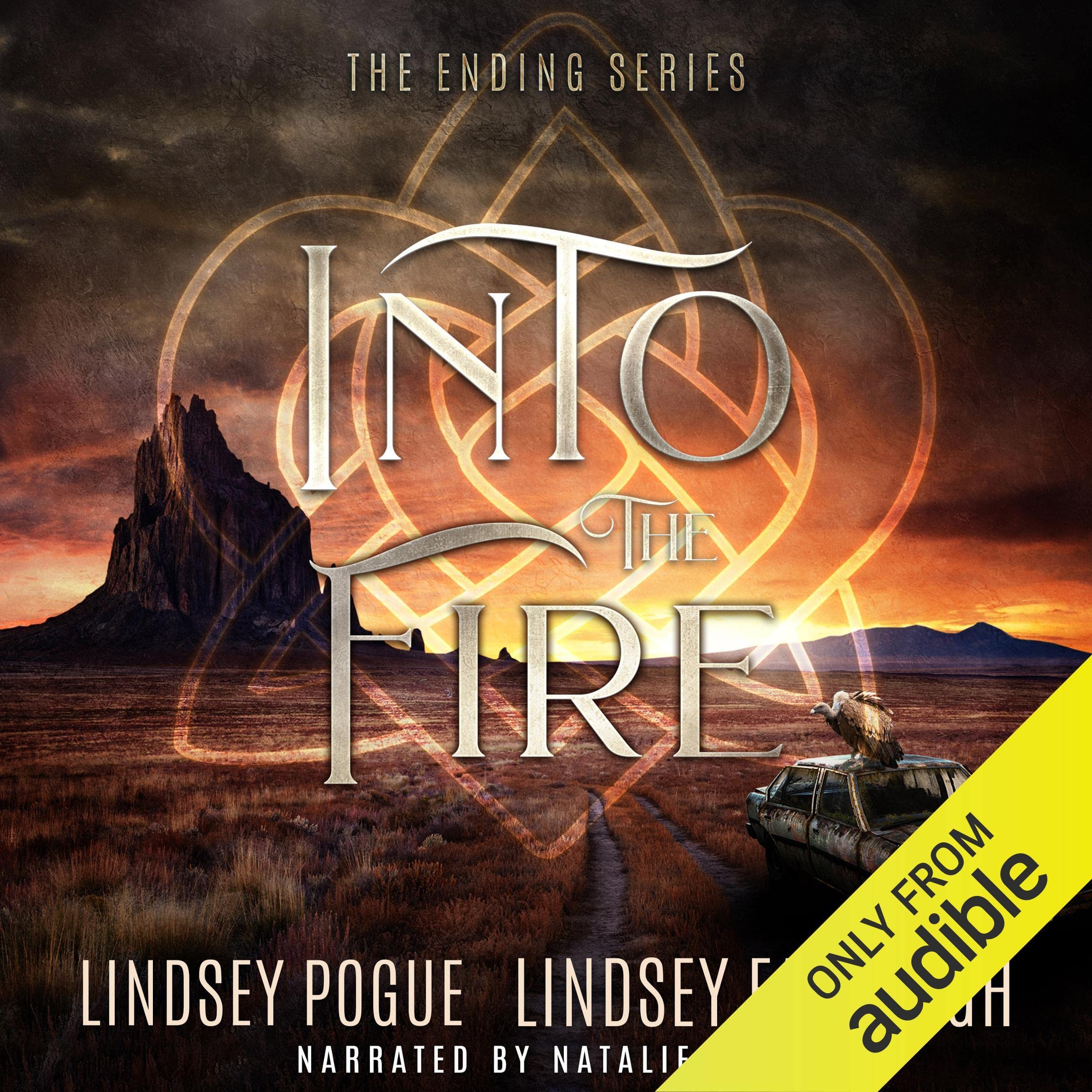 Cover art for Into the Fire: The Ending Series