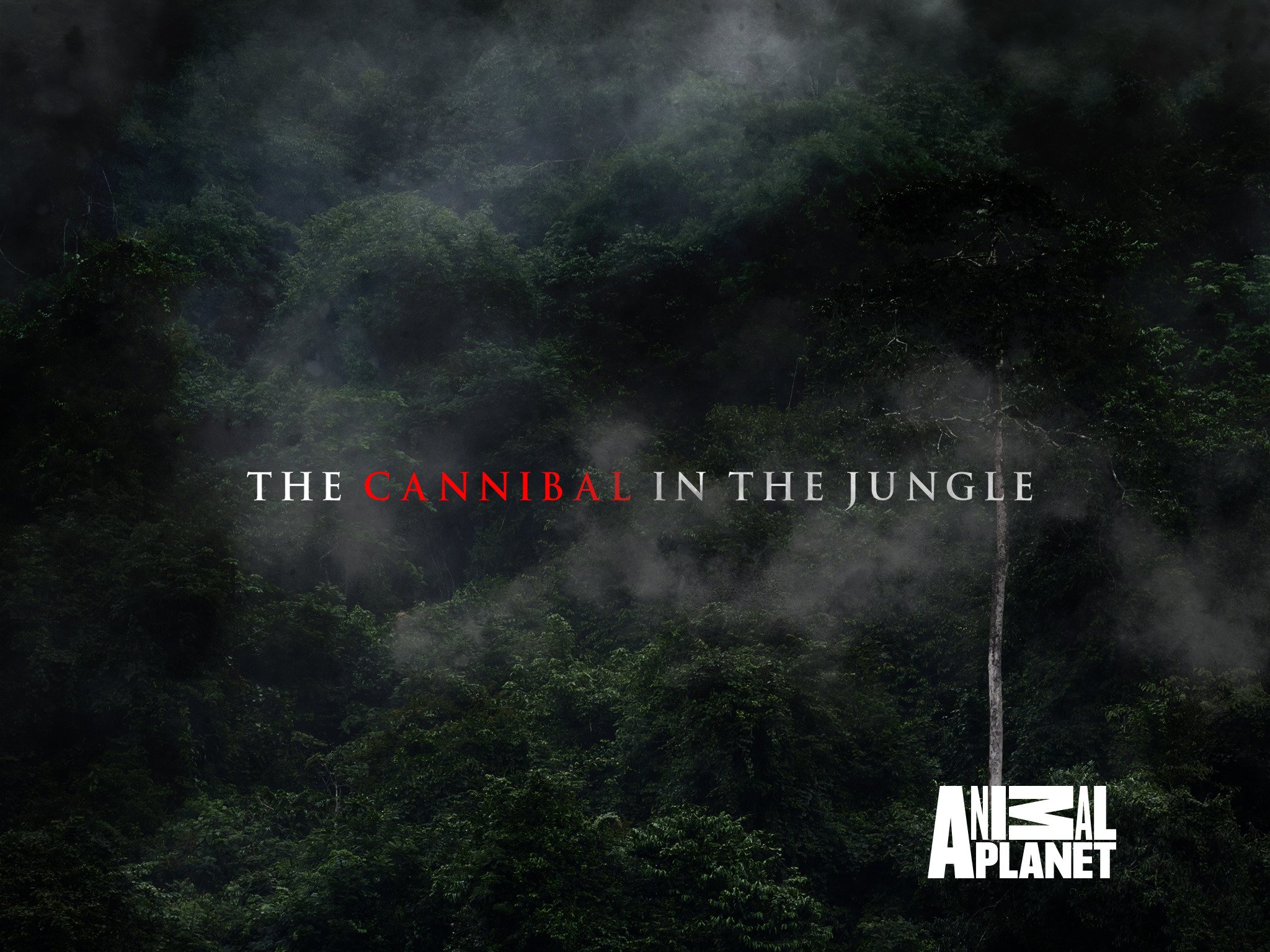 The Cannibal in the Jungle Season 1