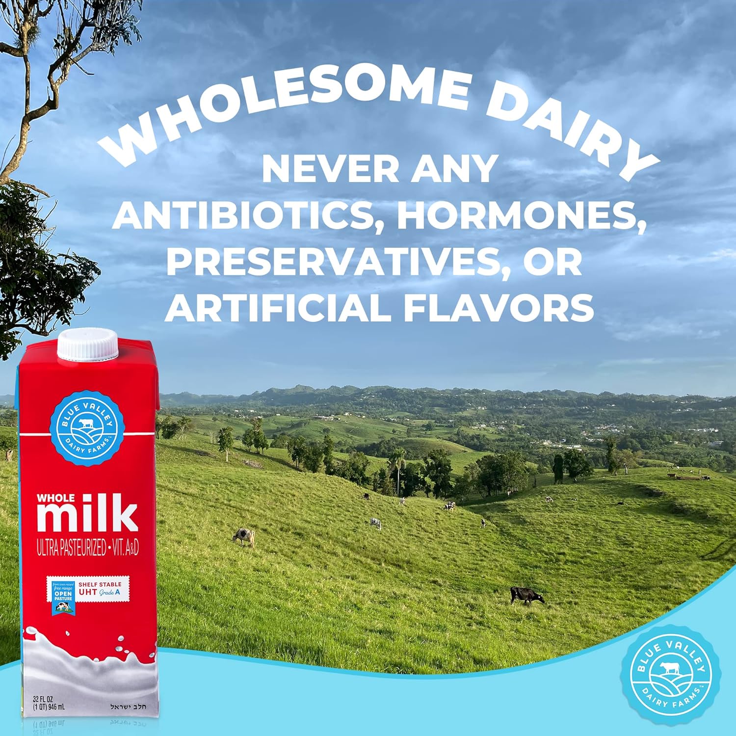 Blue Valley Shelf Stable Milk,Whole, with vitamin D - long life milk no refrigeration needed 32 Fl Oz-(6 PACK) Cholov Yisroel, UHT Pasteurized Milk boxes tetra pak.