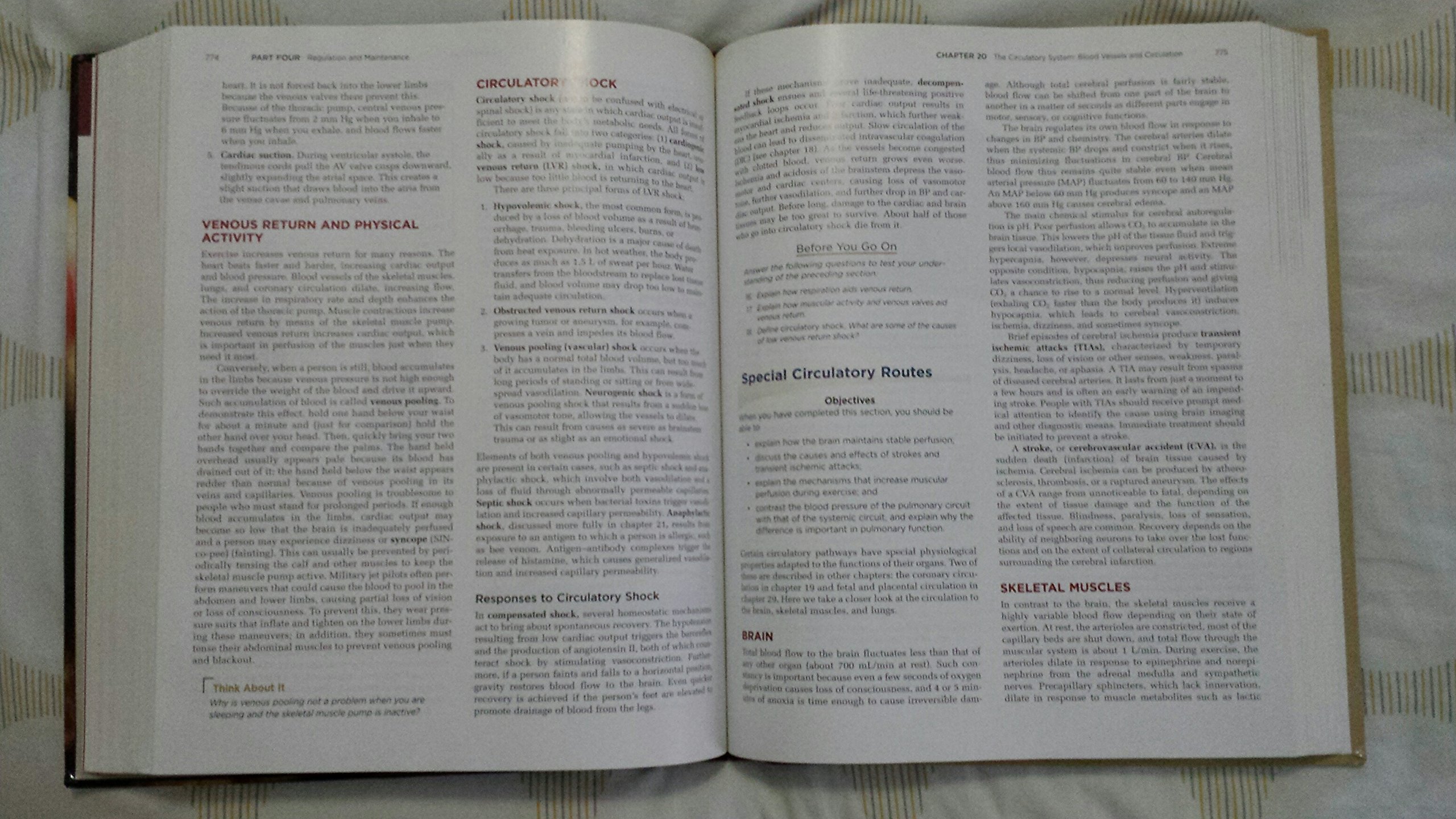 Anatomy & Physiology: The Unity of Form and Function - Image 4