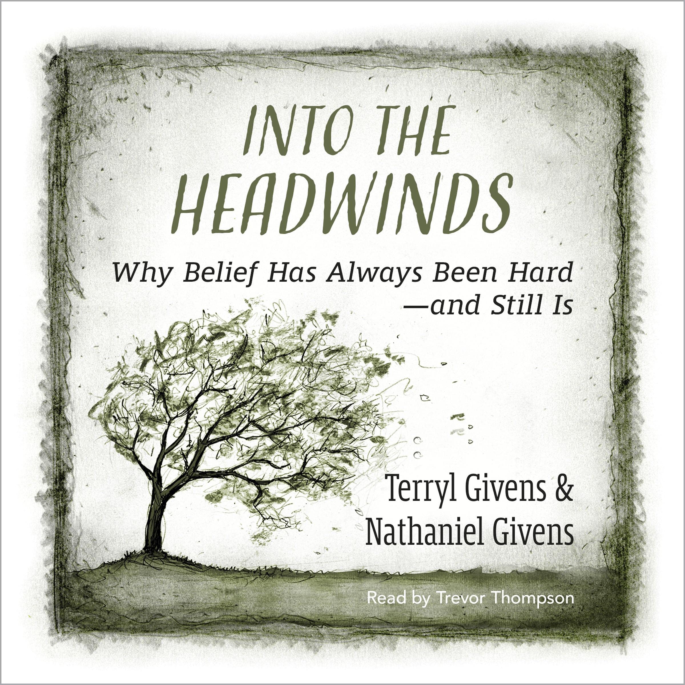 Cover art for Into the Headwinds