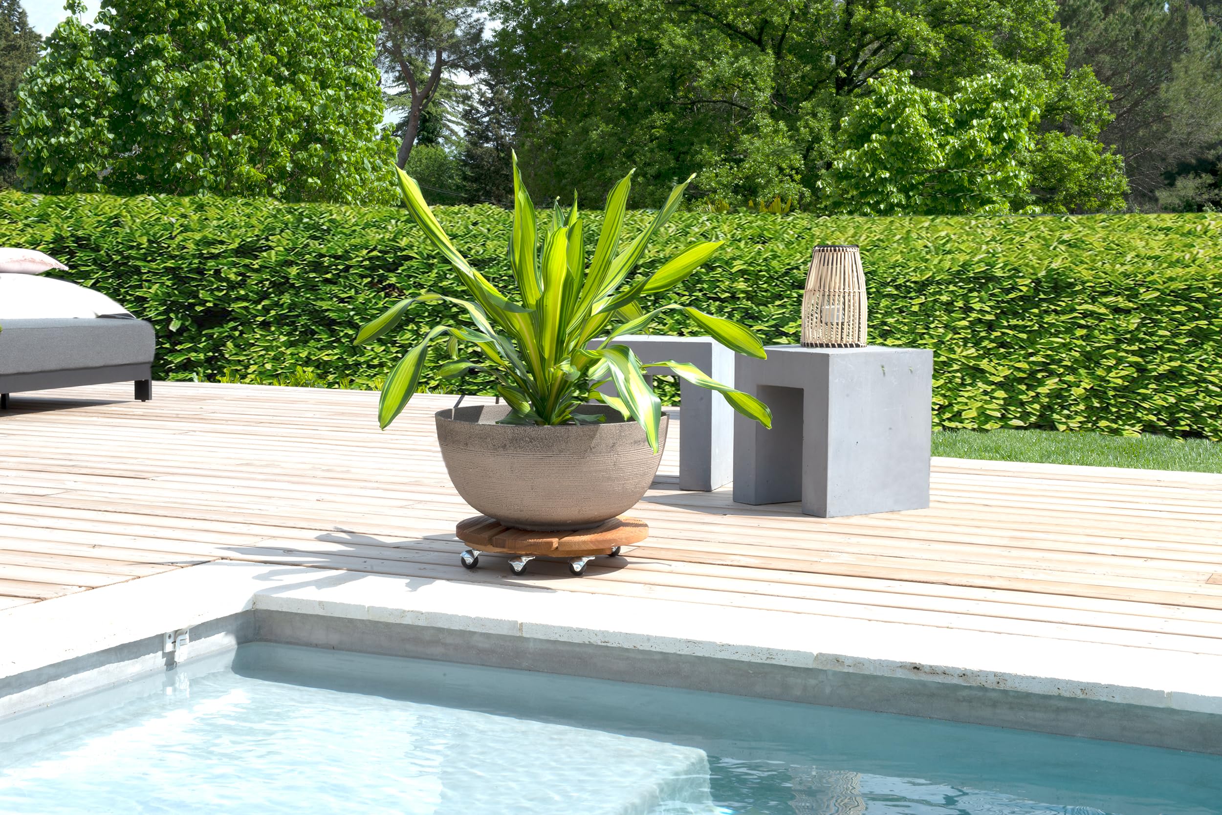 Louis Moulin Roule-Plante Bois Rond 45 cm - Naturel - Origine France Garantie