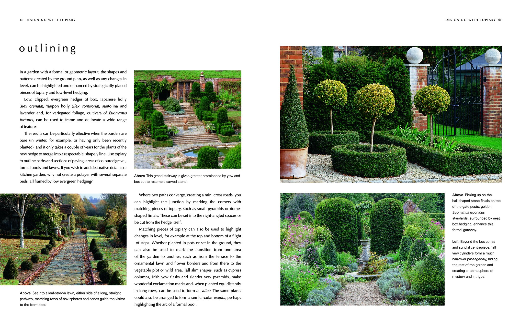 A Gardener's Guide to Topiary: The Art Of Clipping, Training And Shaping Plants