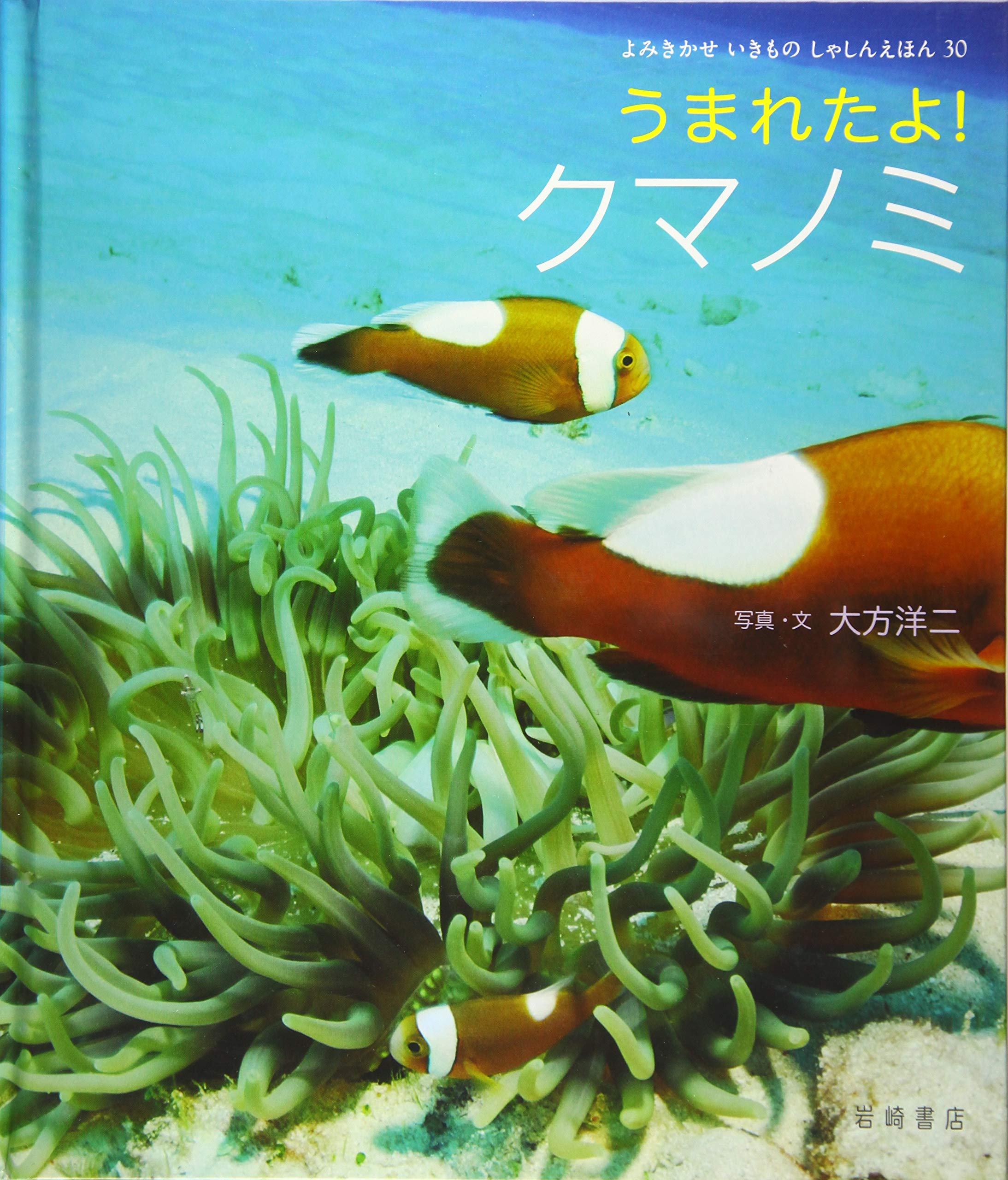 よみきかせ いきものしゃしんえほん 30 うまれたよ クマノミ よみきかせいきものしゃしんえほん 大方 洋二 大方 洋二 本 通販 Amazon