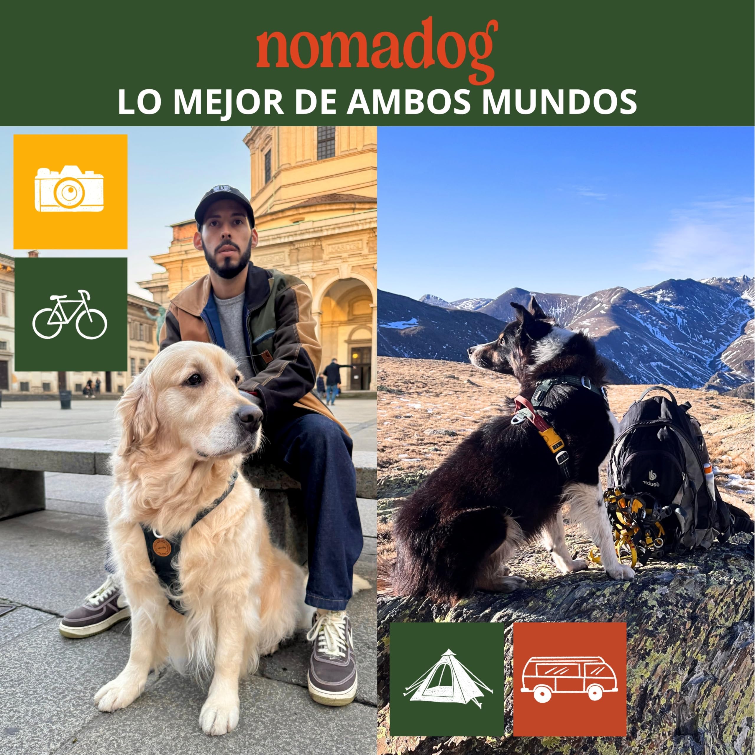Nomadog Trailblazer Arnes Perro Grande Sin Tirones con Asa - Ajuste Óptimo, Reflectante 3M, Aluminio No Oxidante, Materiales Reciclados - Ideal para Perros Activos (L)
