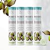 WELLBEING NUTRITION Daily Probiotic Prebiotic| Plant Based |36 Billion CFU, 6 Strains for Men & Women with Organic Prebiotic Fiber for Digestion, Gut Health, Metabolism | 84 Effervescent Tabs