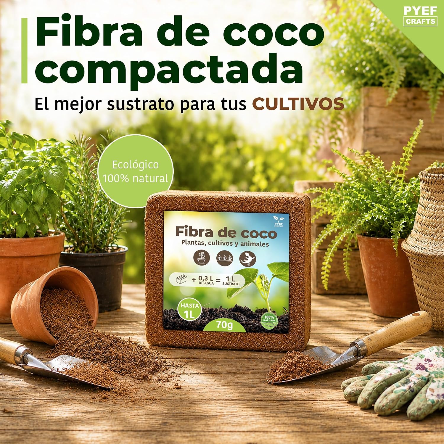Fibra de Coco Sustrato Natural para Plantas y Reptiles (1L) - Détails et caractéristiques