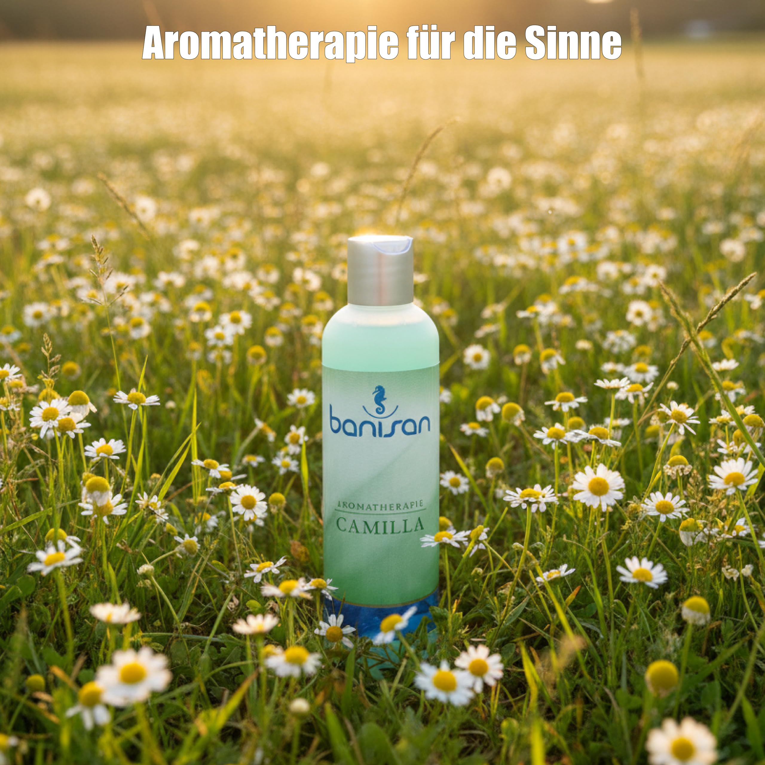Badezusatz Whirlpoolgeeignet Aromatherapie Whirlpool Duftöl Zusatz Aroma Pflege Wellness Outdoor Whirlpoolbadezusätze 3 x 250 ml + 2 Filterreinigungstabletten von Pfahler