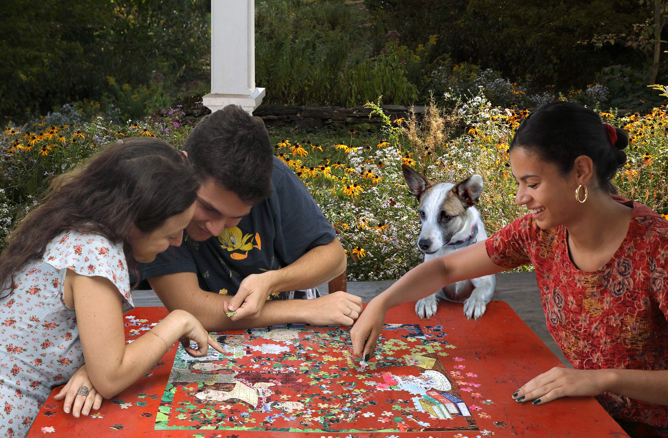 Amazon.com: eeBoo: Piece and Love Jane Austen's Book Club