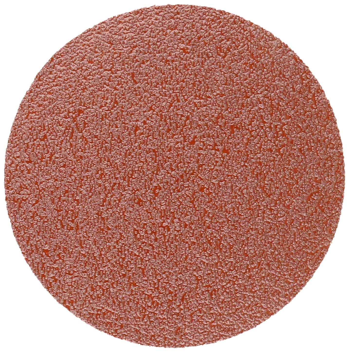 Disque Miroslava 40–341–036 grossier Cut PSA de 15,2 cm haute longévité