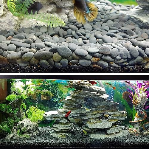 Miniatura 3 de CJGQ Piedras naturales de río de 18 libras, piedras mexicanas de playa para jardín, paisaje, piedra de pavimento, gris, 1 pulgada a 2 pulgadas