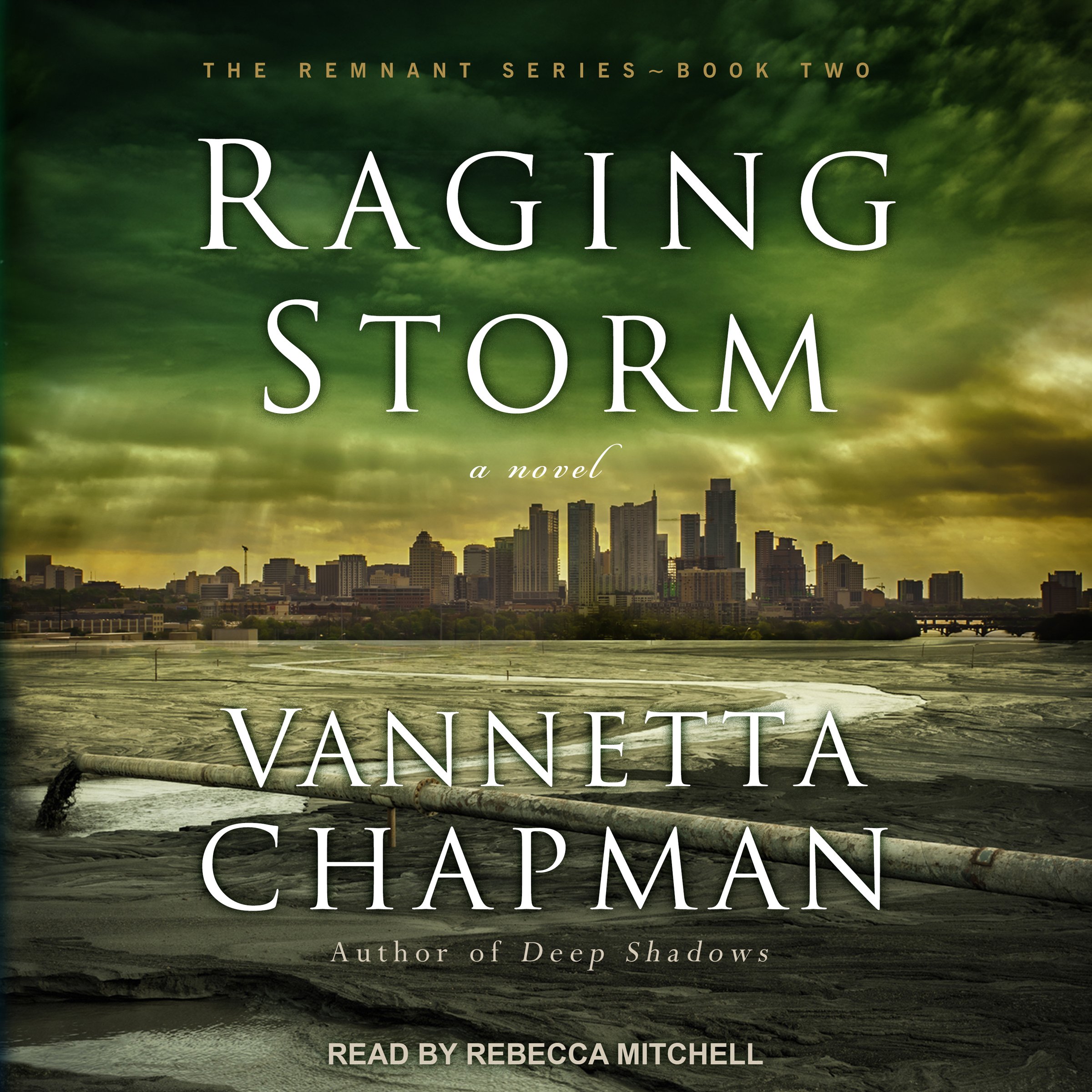 Cover art for Raging Storm