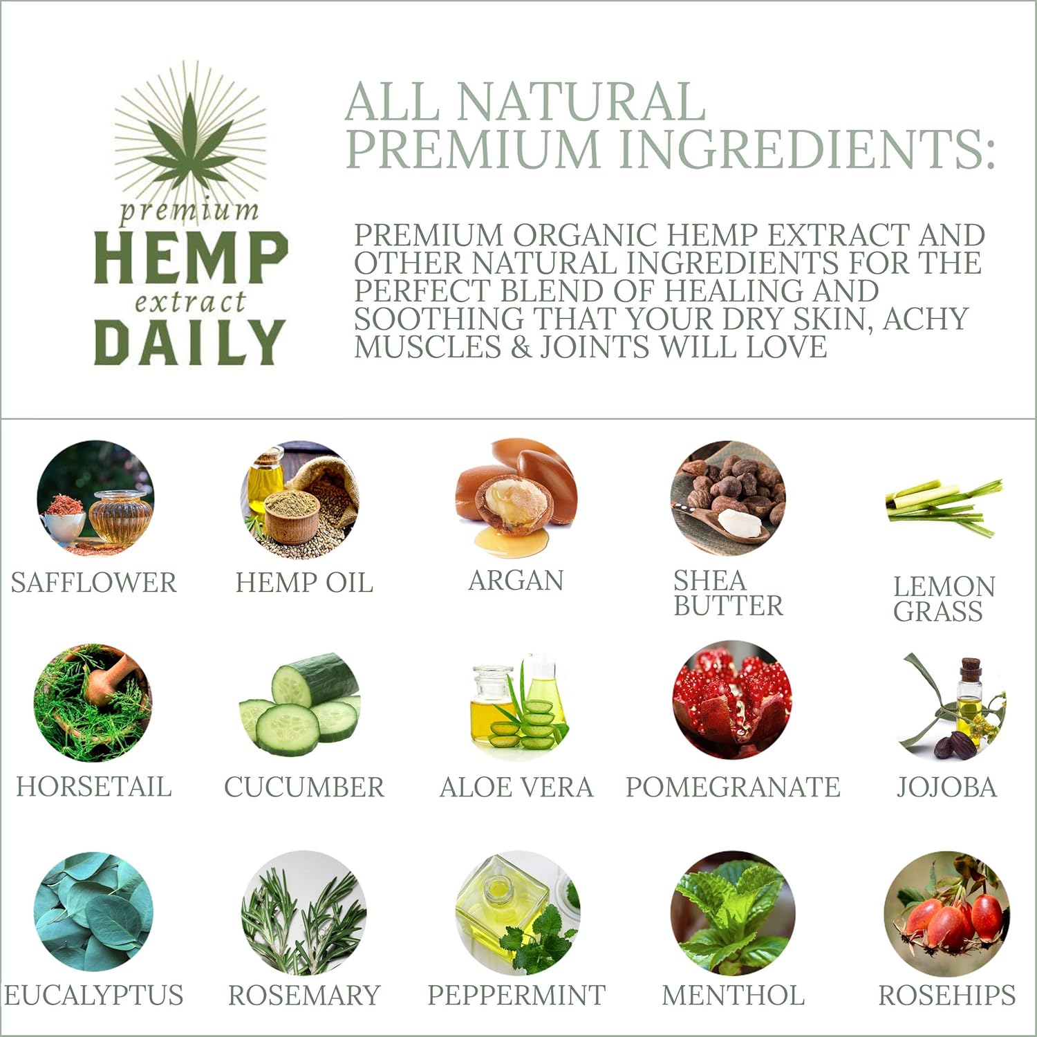 Hemp Daily Intensive Cream | Intensive Hemp Cream with, No Color, Size 1.7 : Health & Household