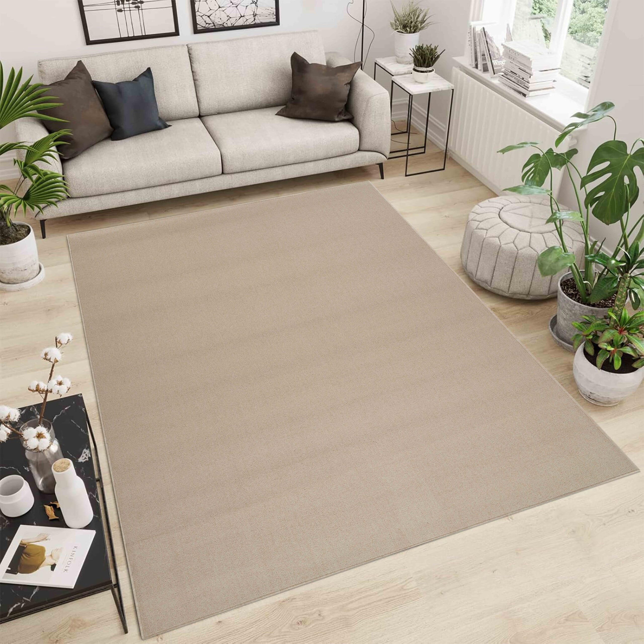 Simple Low Pile Rugs Living Room – Modern Tufted Area Rugs for Living Room with Felt Backing Light Beige 160x230 cm