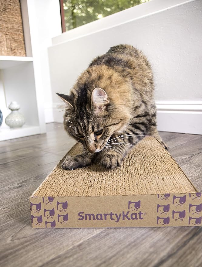 smartykat super scratcher
