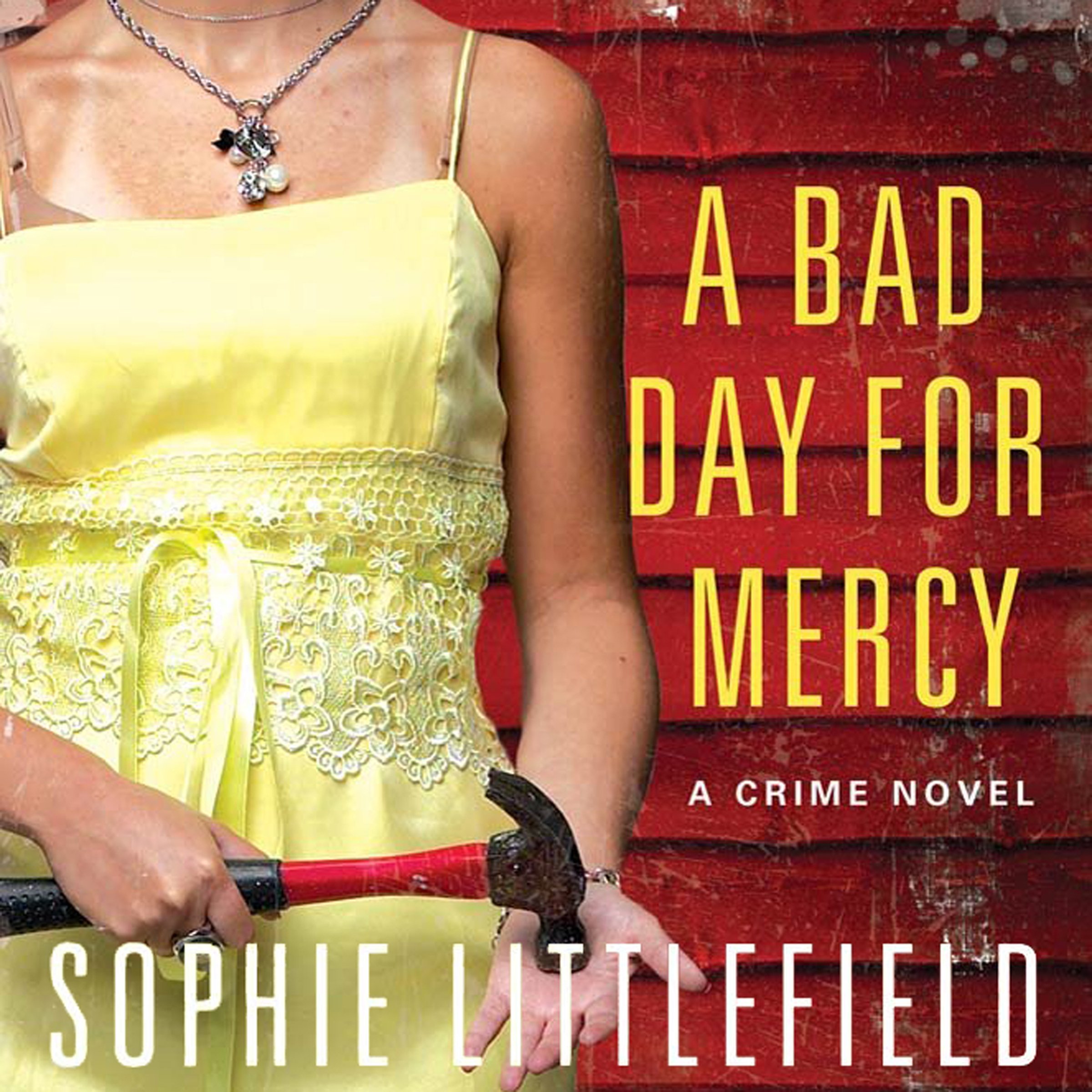Cover art for A Bad Day for Mercy
