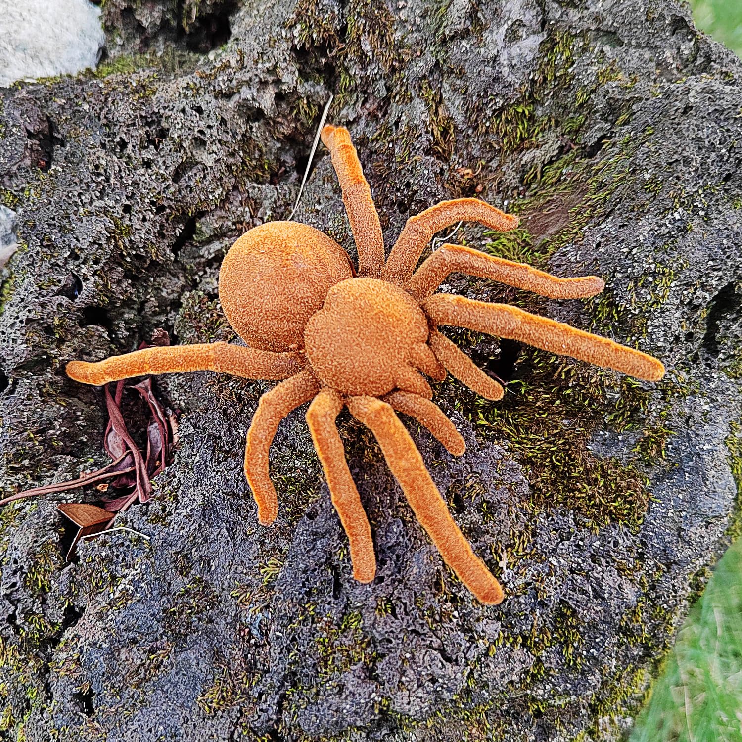Escomdp Electric Spider Tarantula Animal Toy Realistic Vibrate Move Pets Cat Dog Puppy Teasing Scary Prank Toys Kids Gifts - Image 4