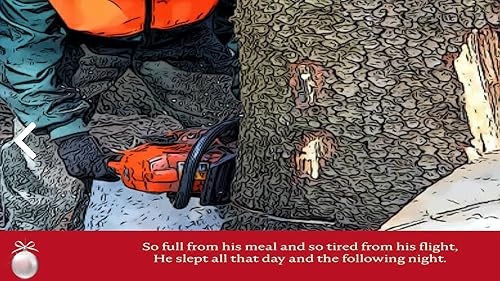 Rocky Owl's Christmas Story
