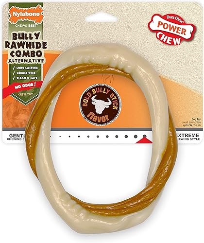 Miniatura 10 de Nylabone Power Chew Shish Kabob - Juguete de nailon alternativo para masticar, pollo, pequeño, regular (1 unidad)