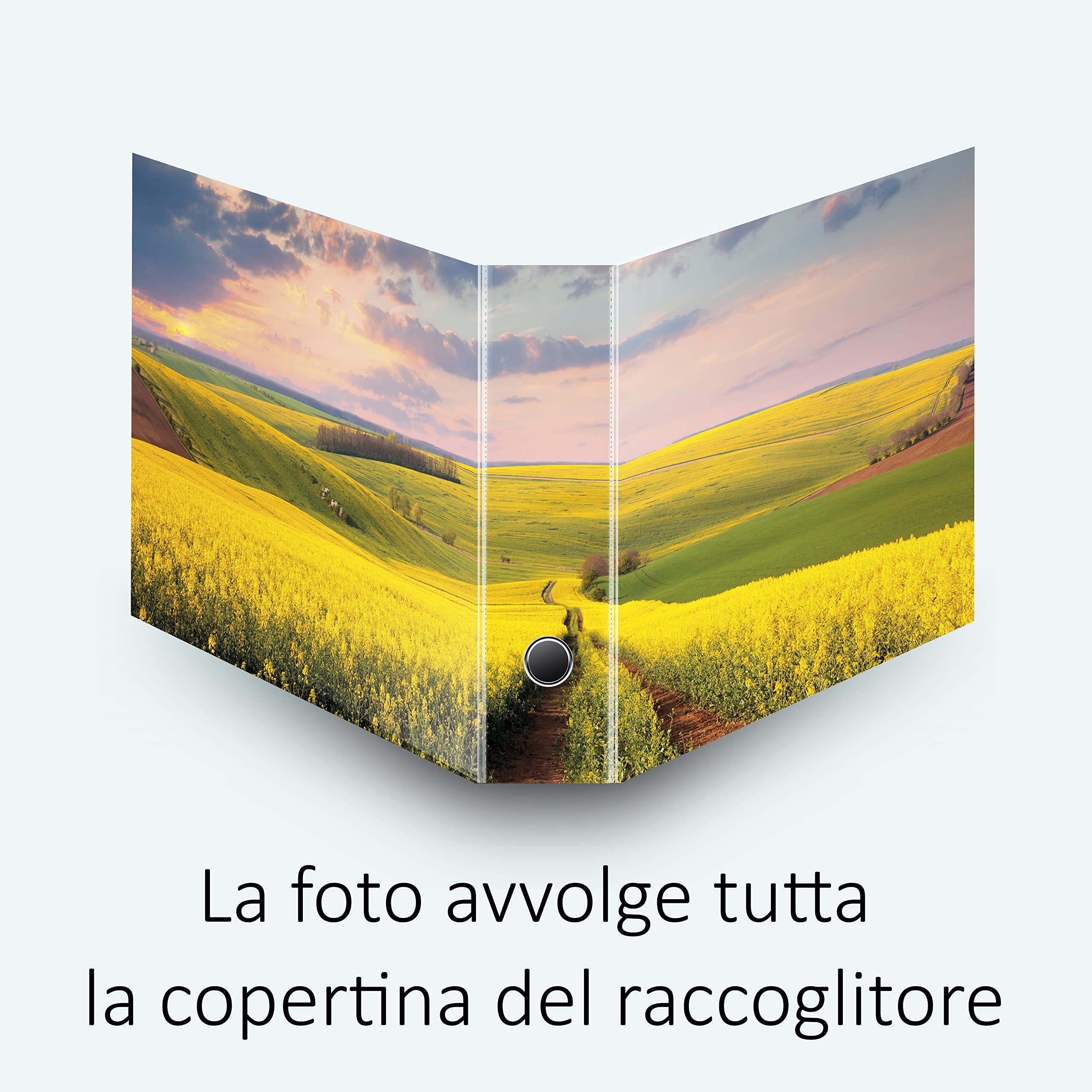 Set da 6 raccoglitori ad anelli - CAMPO FIORITO (H31 cm con 4 anelli)