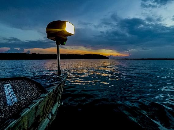 Golight 2151 Gobee Black Halogen Spotlight