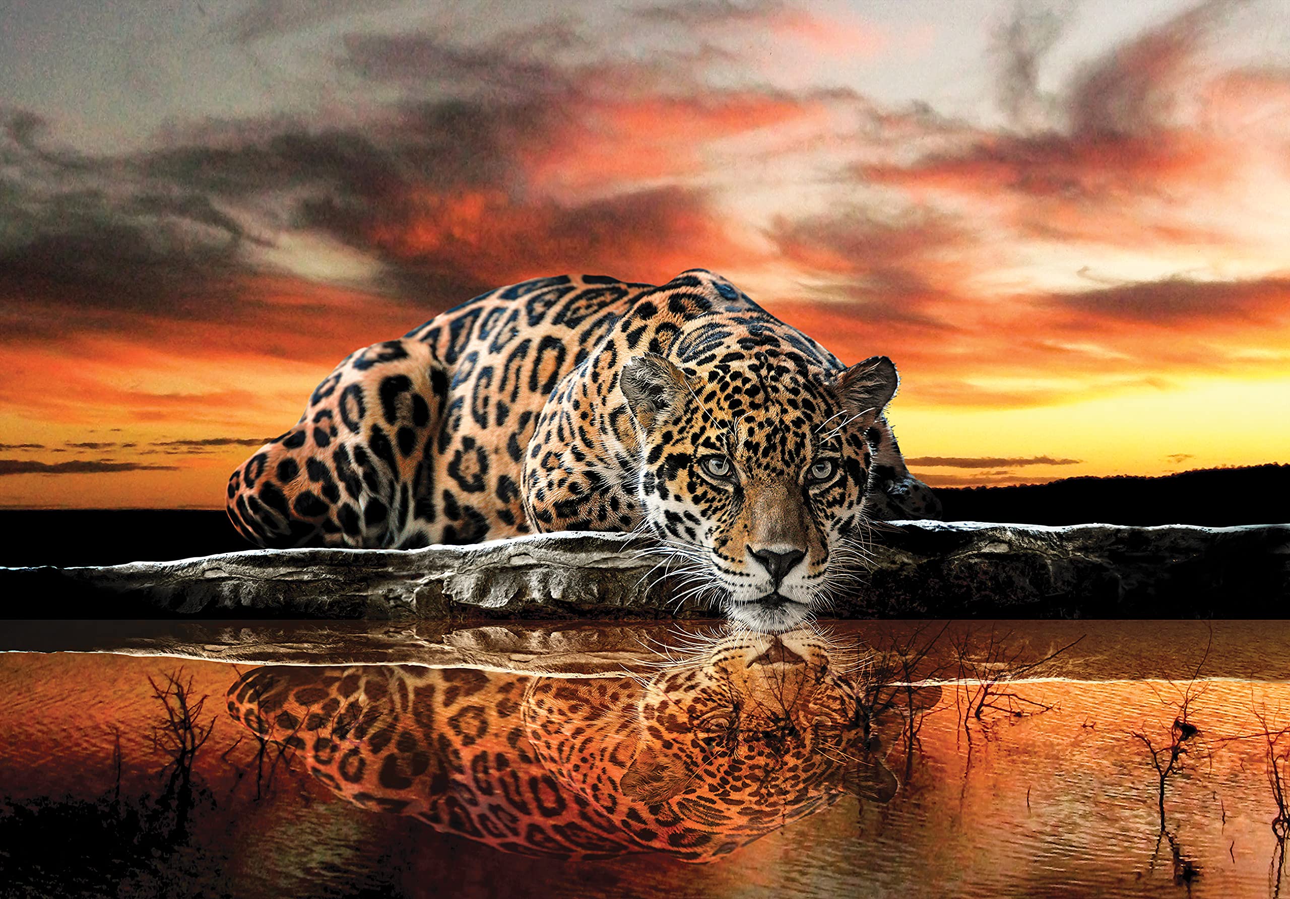 WallArena - Vinyl Wallpaper Jaguar – 416x290 cm Wallpaper for Living Room & Bedroom - - Wallpapers - Wall Covering - Feature Wall & Photo Wall - Wild cat — image 1