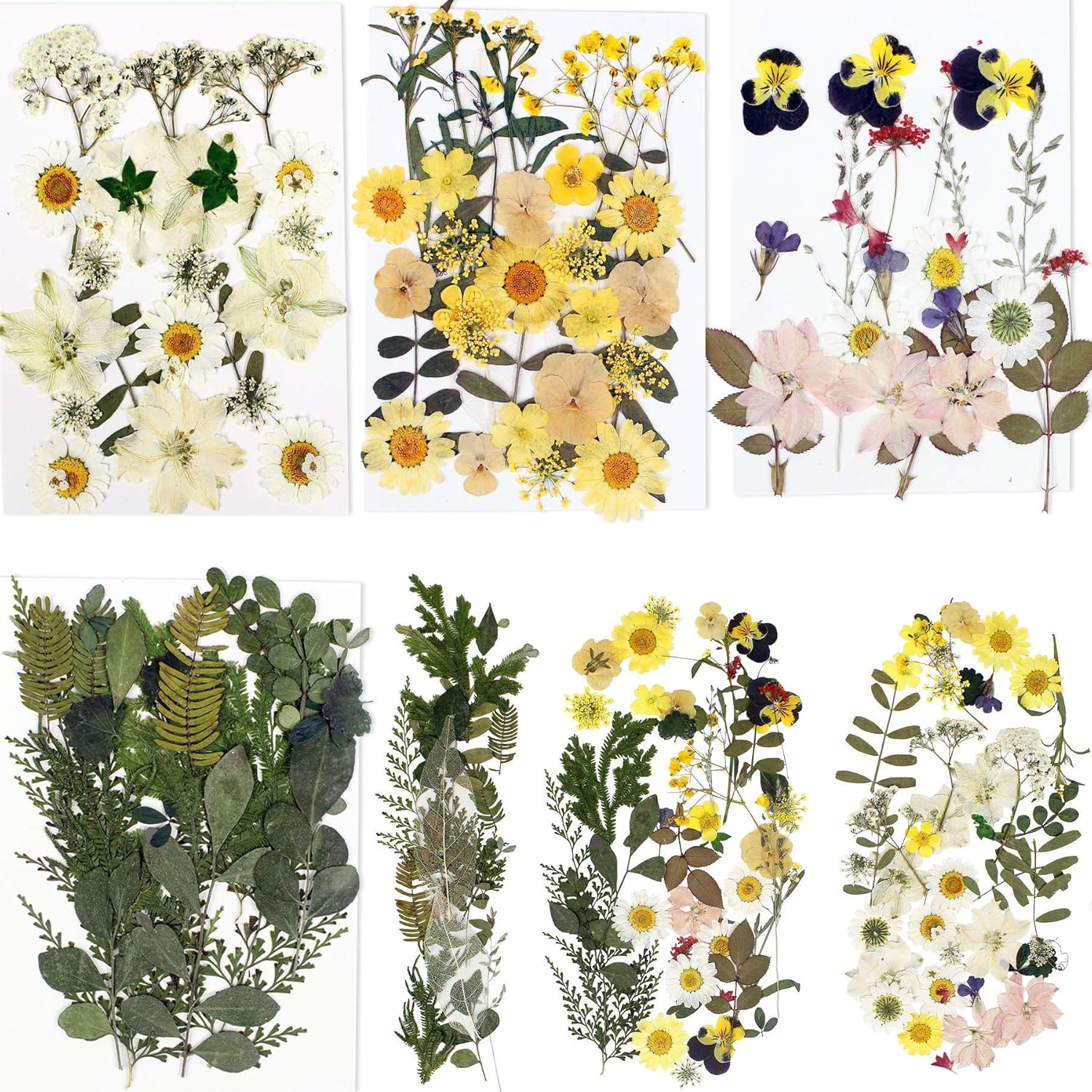 Amazon Com Bihrtc 100pcs Dried Flowers For Resin Real Dry Flower Natural Pressed Died Leaves Sunflowers Chrysanthemum Resin Flowers Small Colorful Pressed Flowers Daisies For Candle Jewelry Nail Pendant Making Beauty