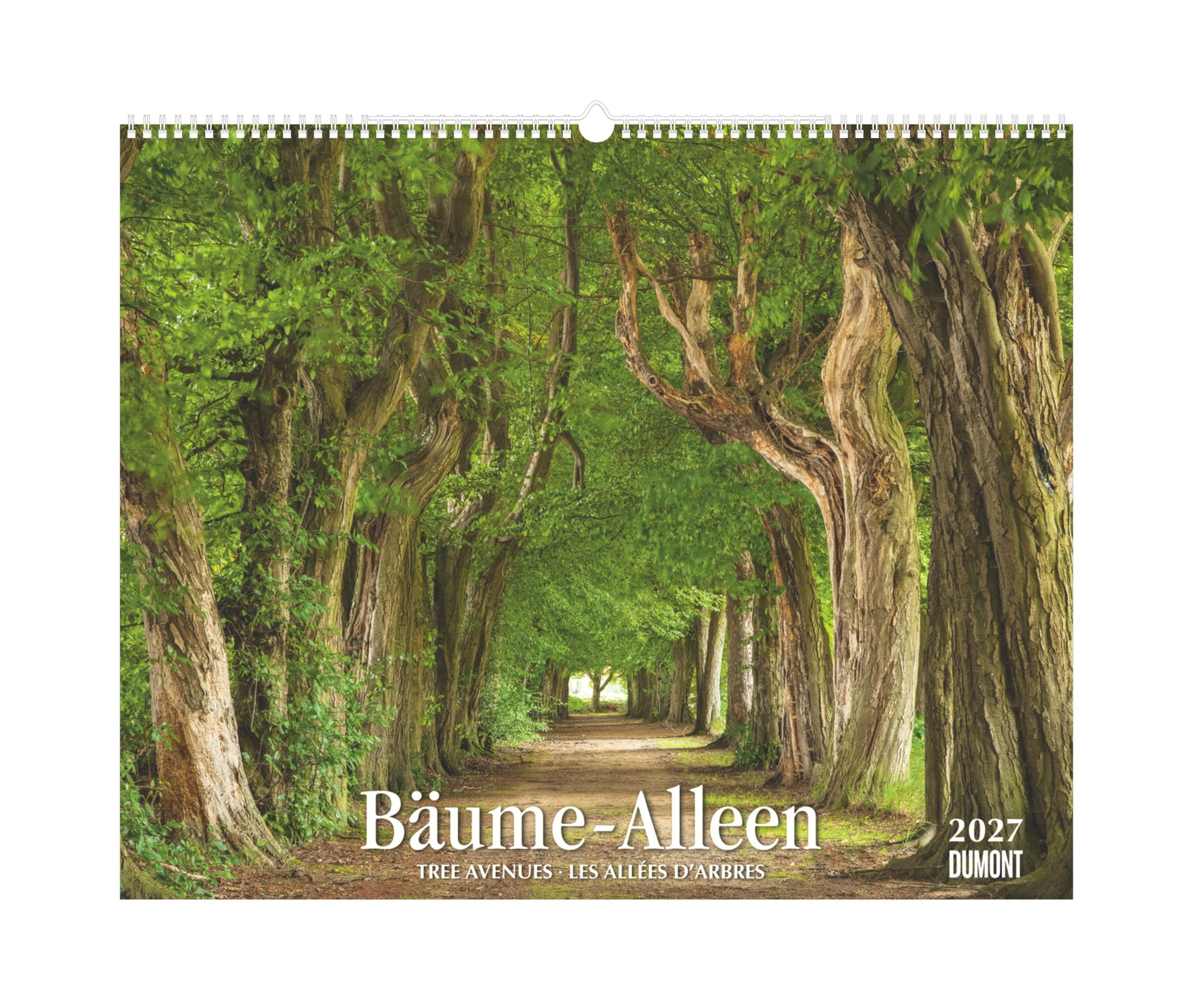 Bäume-Alleen 2027: Wandkalender 52x42,5 cm mit 12 Naturfotografien und 3-sprachigem Kalendarium