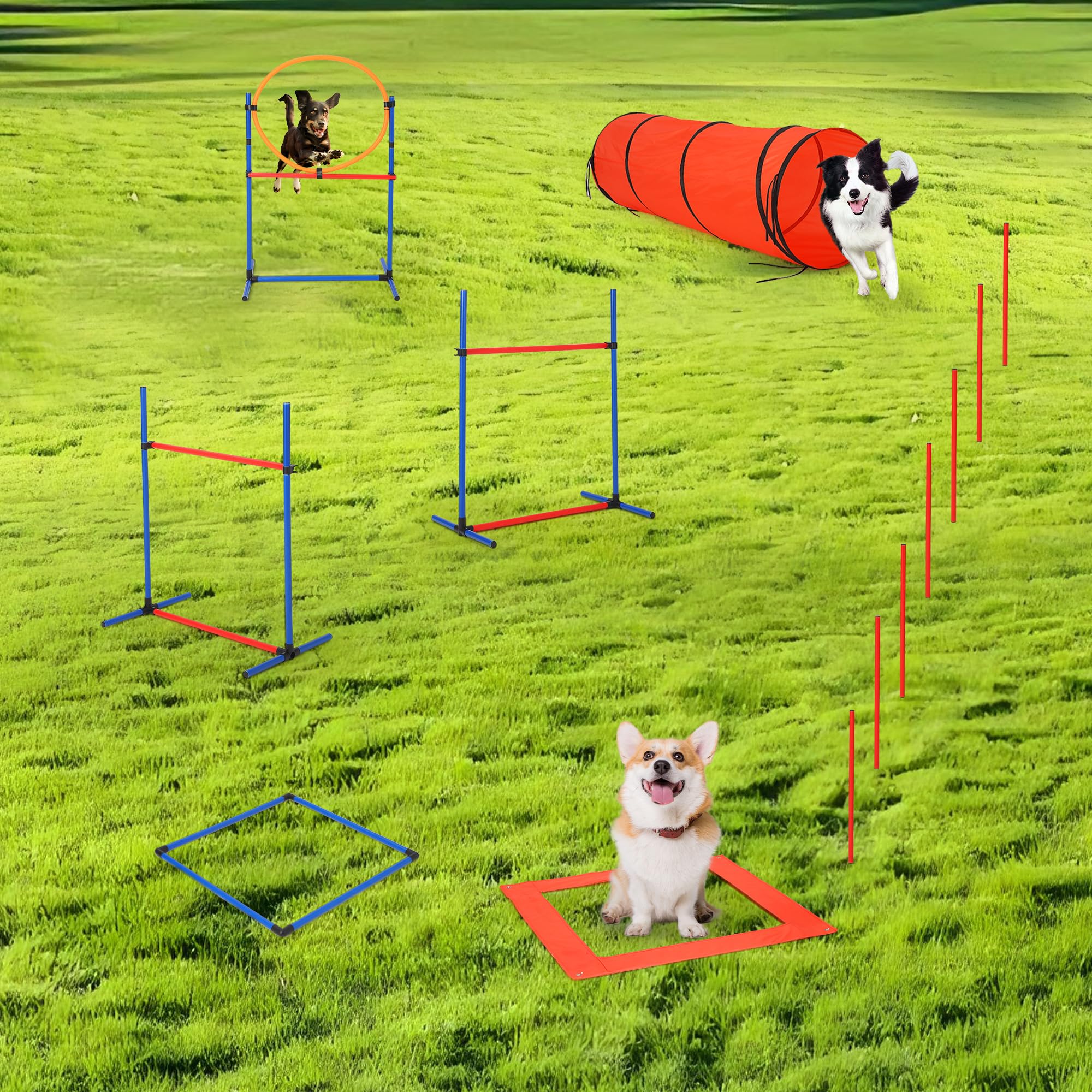 Dog Agility Training Dog Obedience School Near Me Obstacle Course