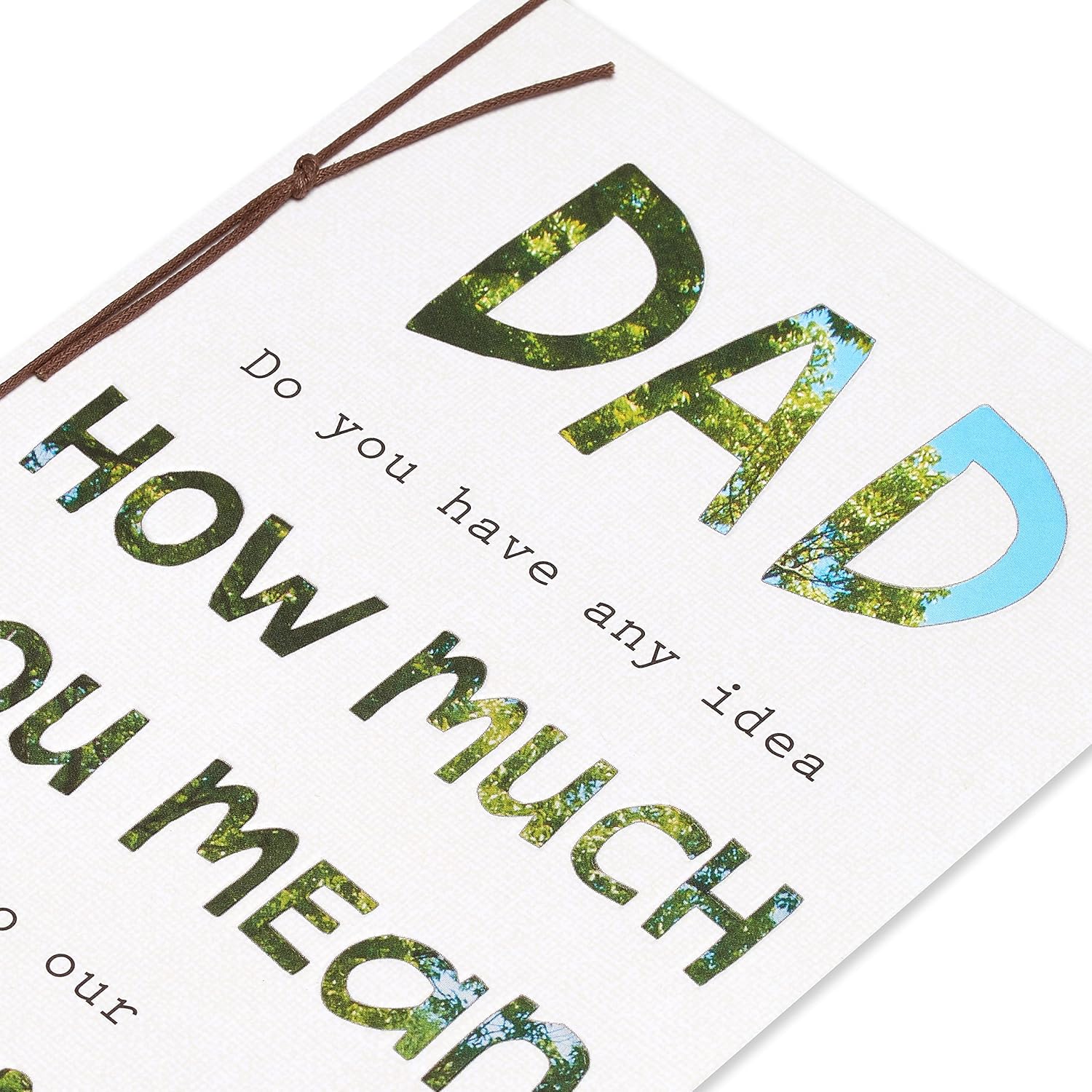 American Greetings Birthday Card for Dad (Count on You)