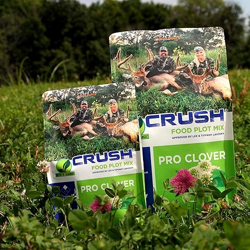 Miniatura 8 de Ani-Logics Outdoor Crush Pro Trébol