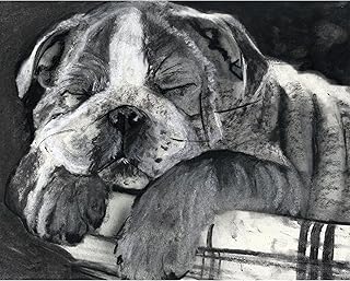 English Bulldog Art, Bulldog Charcoal Art, English Bulldog Gifts, Bulldog Owner, Dog Art Painting, Bulldog Wall Art Print,A4 in size, Hand-Signed by Oscar Jetson