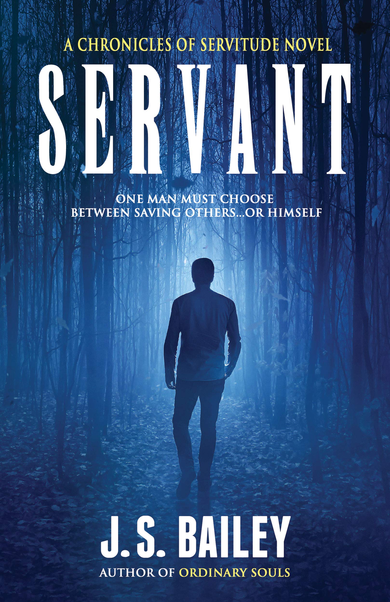 Servant (The Chronicles of Servitude Book 1)