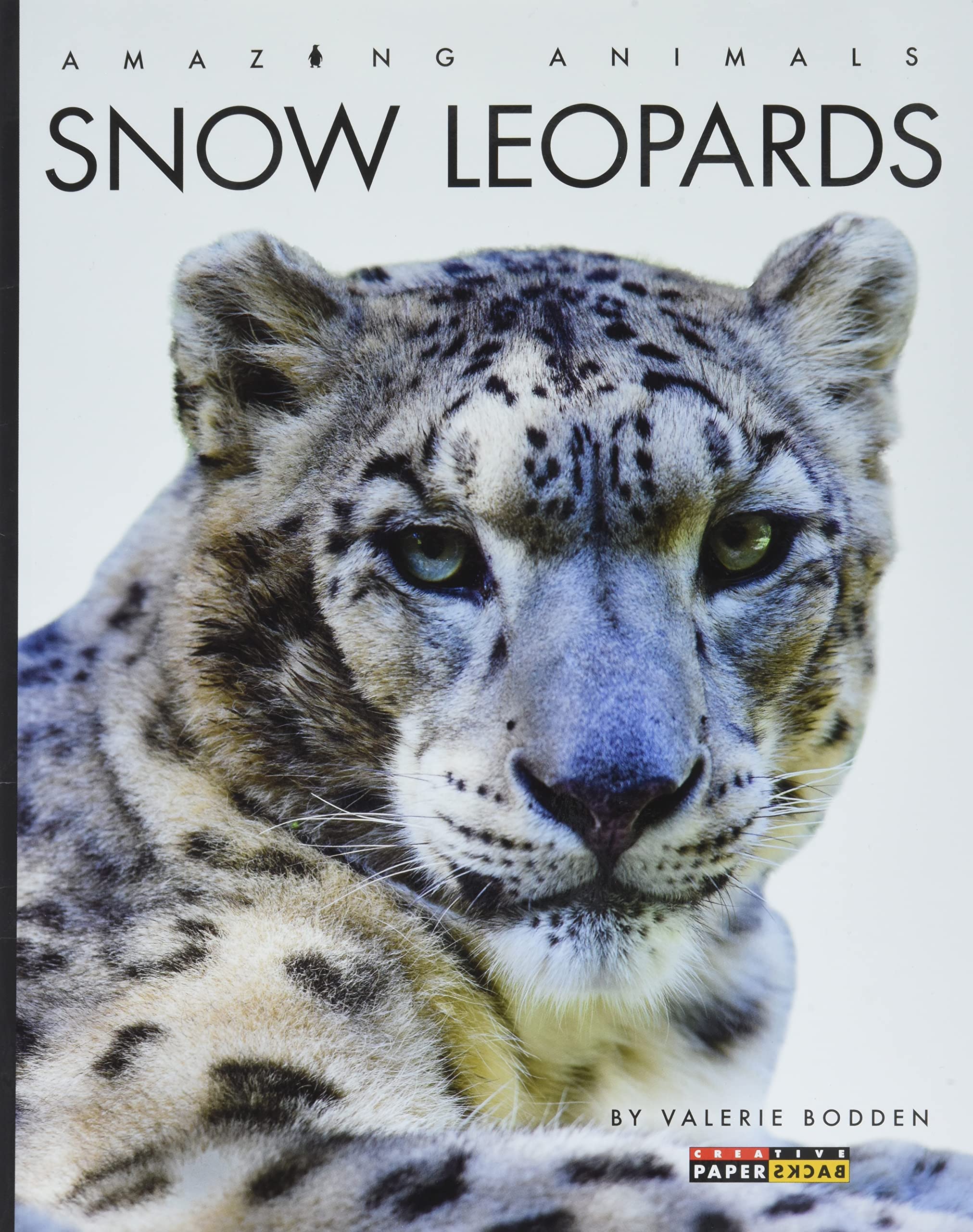 Snow Leopards (Amazing Animals)