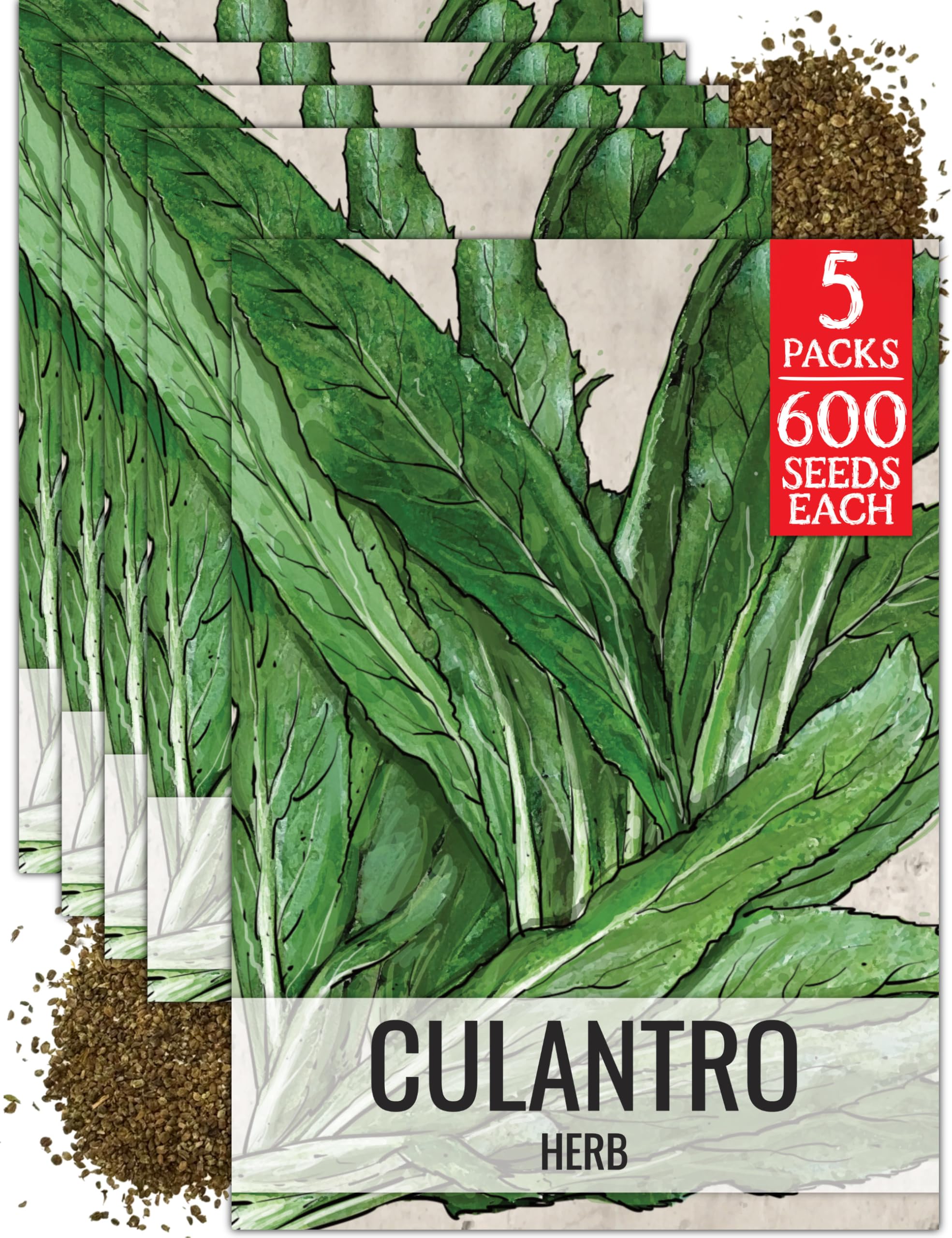 Seed Needs Culantro Seeds for Planting Mexican Coriander - Non-GMO Heirloom & Untreated Culinary/Medicinal Herbs to Grow an Indoor/Outdoor Herb Garden (5 Packs)