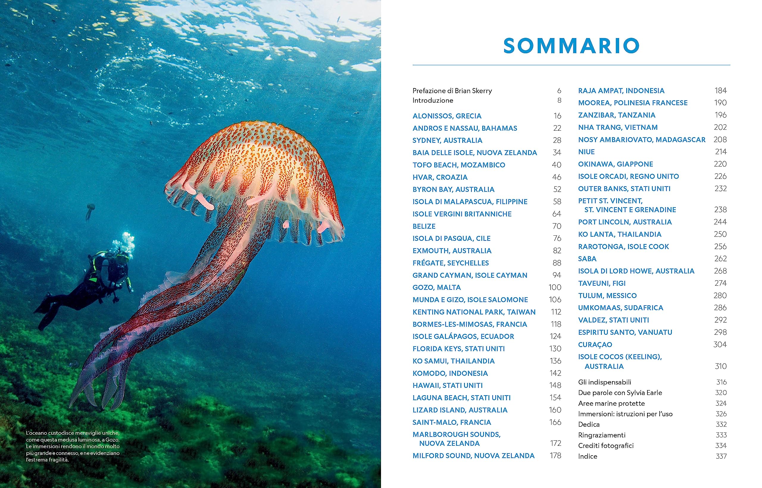 Guida completa per subacquei. Le migliori immersioni del mondo e incredibili esperienze sopra e sotto la superficie del mare. Ediz. a colori