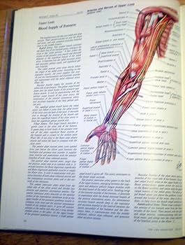 Musculoskeletal System, Part 1: Anatomy, Physiology, and
