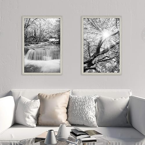 Miniatura 7 de MCS Industries Studio Gallery - Marcos con textura de madera color gris, de 20 x 30 pulgadas  50.8 x 76.2 cm., 2 unidades