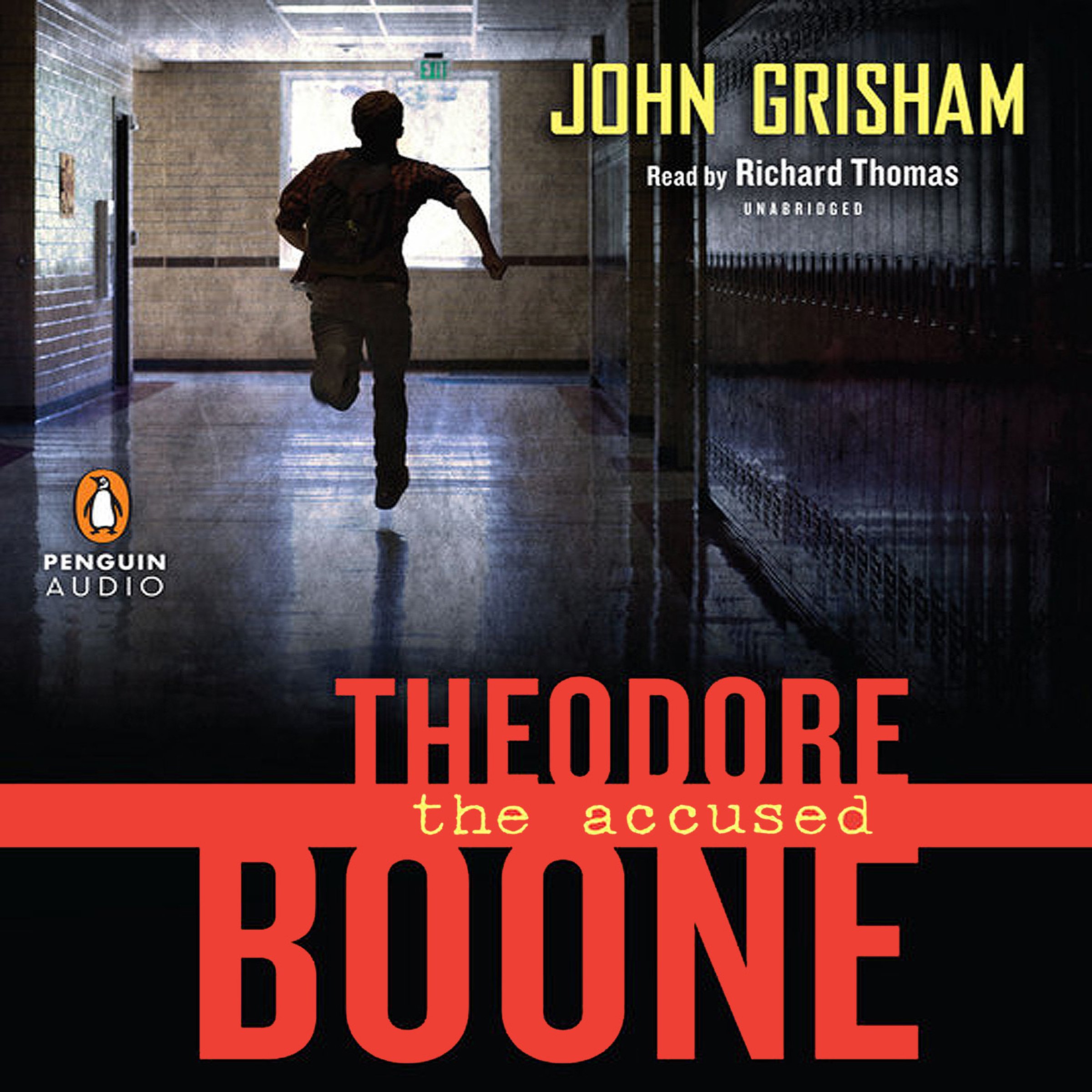 Theodore Boone: the Accused