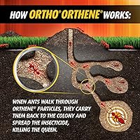 Vista 8 de Ortho Orthene Fire Ant Killer1, 12 onzas (paquete de 12)