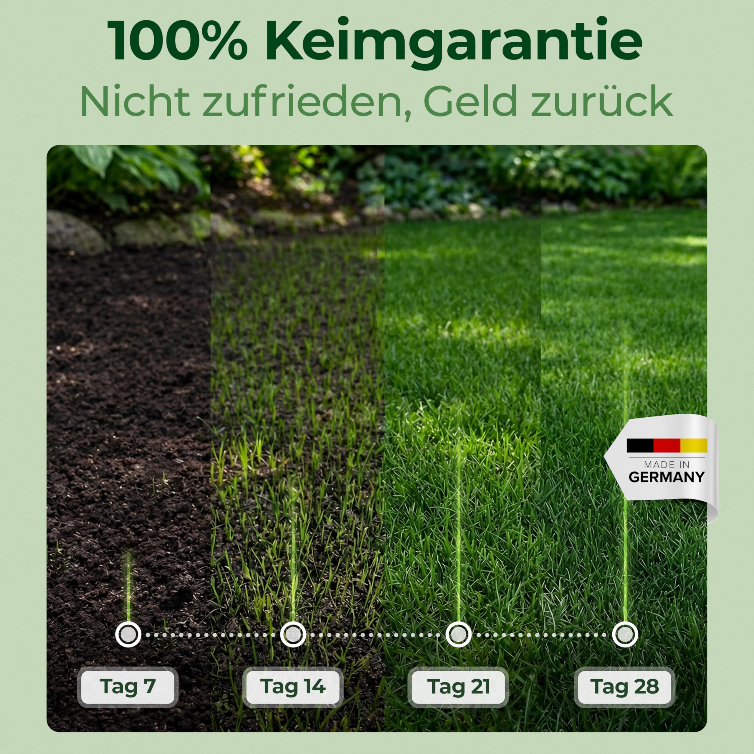 Schattenrasen Rasensamen 1 kg – Rasen für schattige Flächen & wenig Sonne – robuste Grasmischung für dichten Schattenrasen – ideal für Nachsaat & Neuanlage – für bis zu ca. 40 m² Rasenfläche