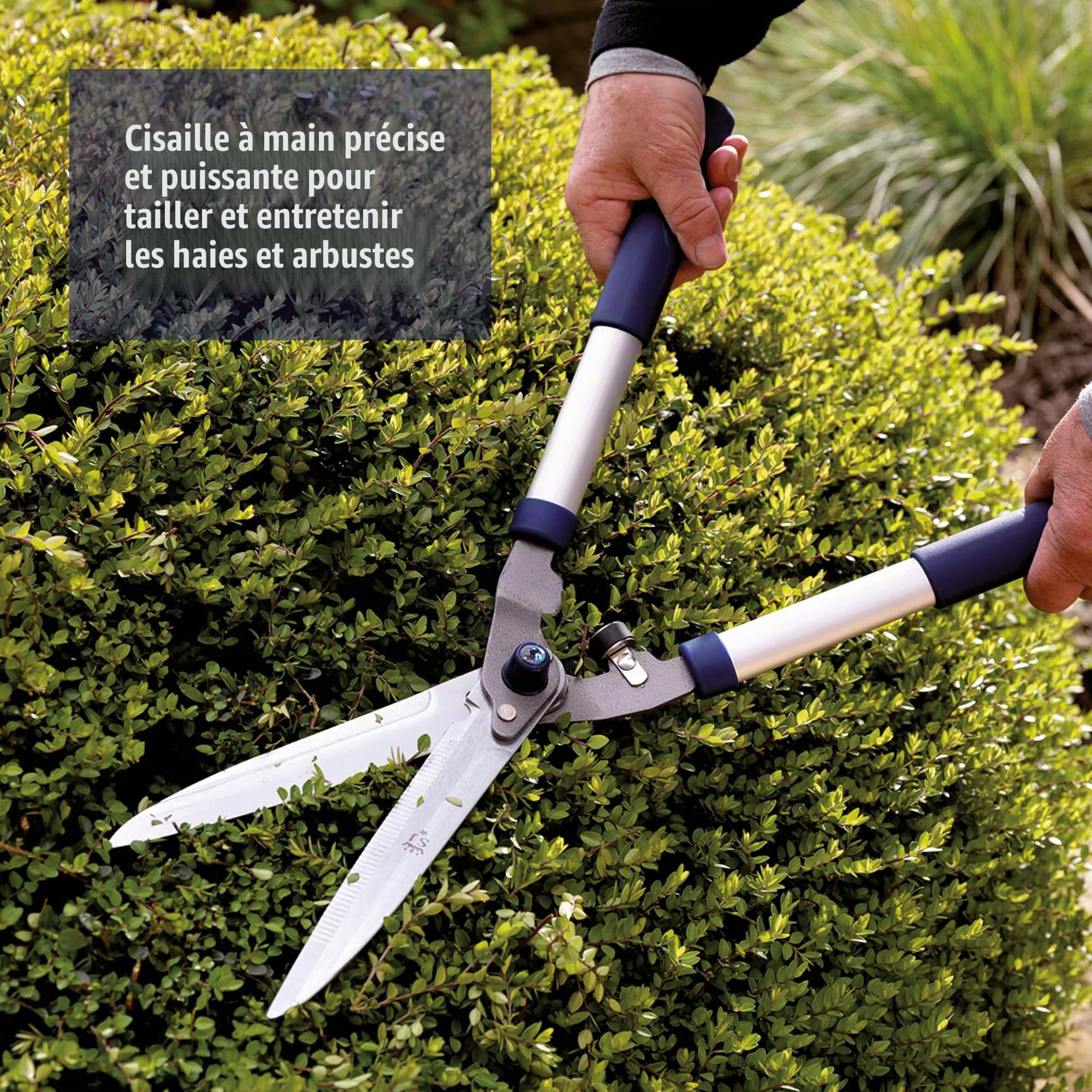 Spear & Jackson 8110RS Cisaille à haie crantée Razorsharp