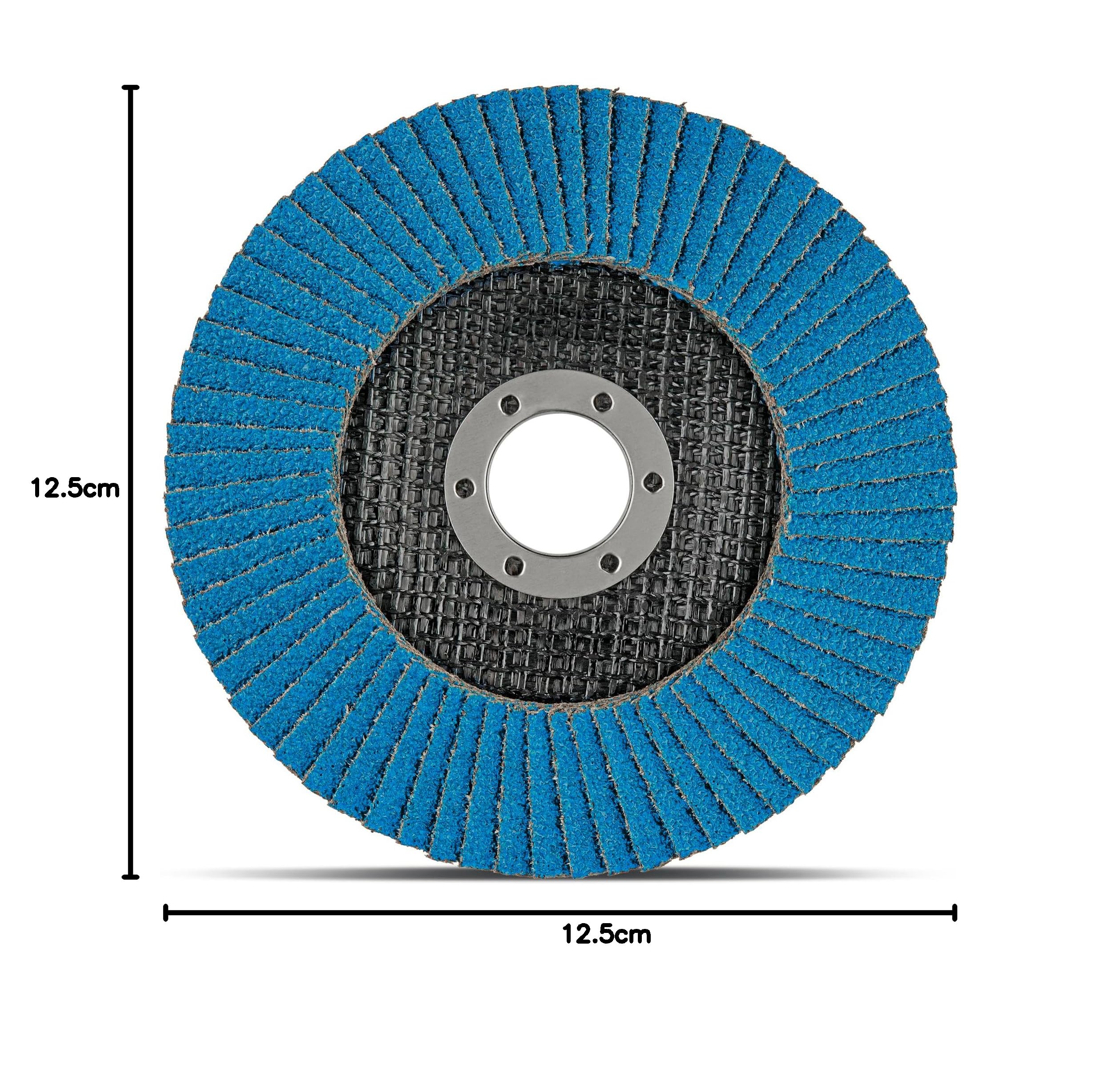 FD-Workstuff Ensemble de 10 Compartiments Disques Abrasifs en Inox de 125 mm, Grain 40, Couleur Bleu - Des Disques à Lamelles de Qualité Supérieure pour le Meulage Efficace
