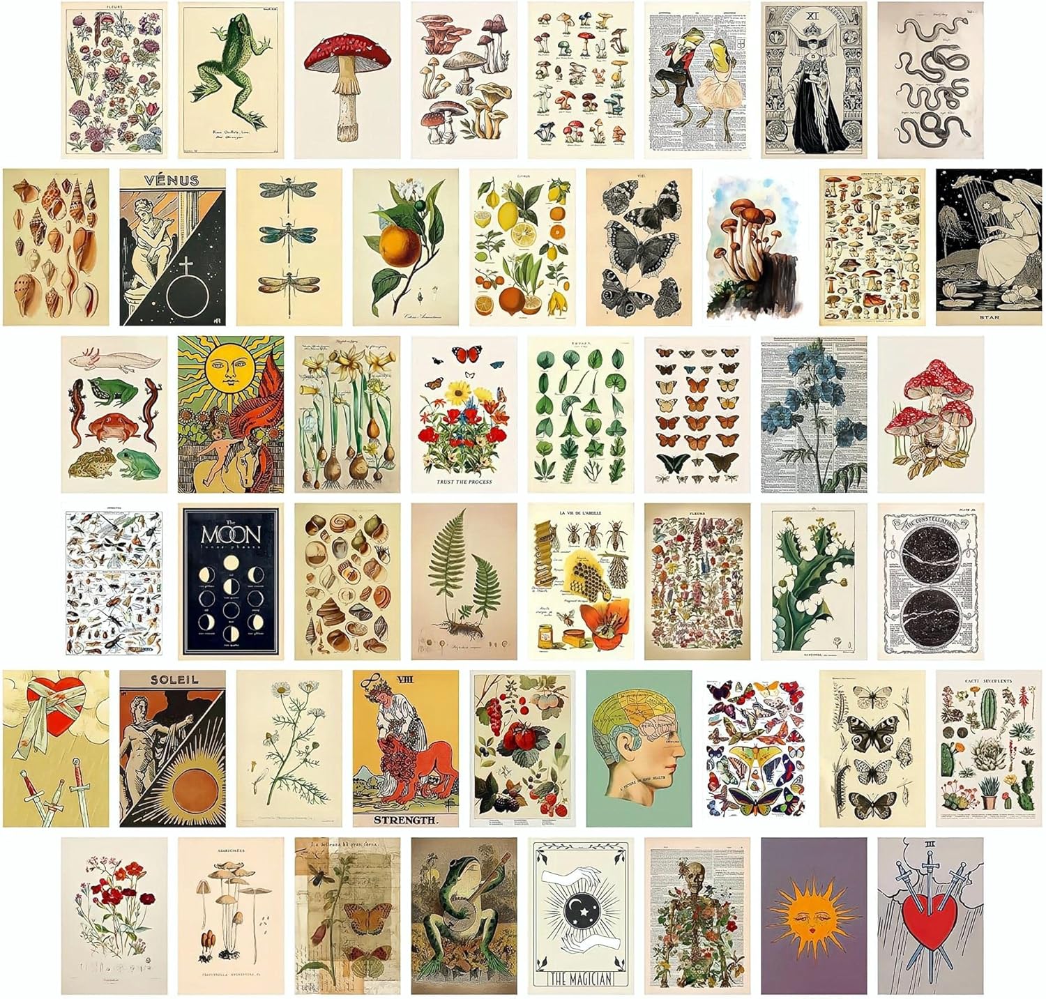 Buy 50PCS Vintage Collection Postcard Set, Retro Style Plants Butterfly ...
